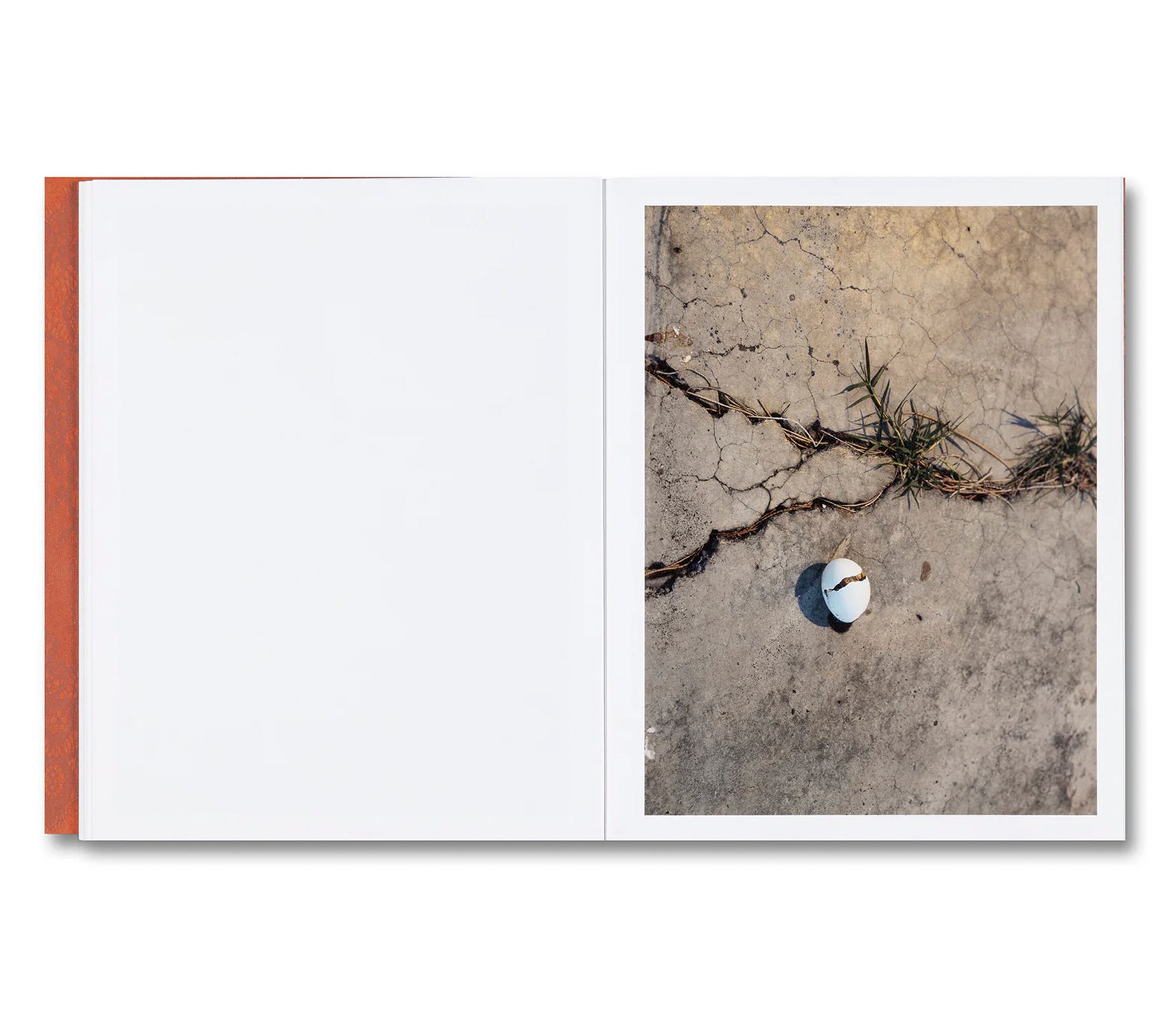 I’LL LET YOU BE IN MY DREAMS IF I CAN BE IN YOURS by Carolyn Drake, Andres Gonzalez