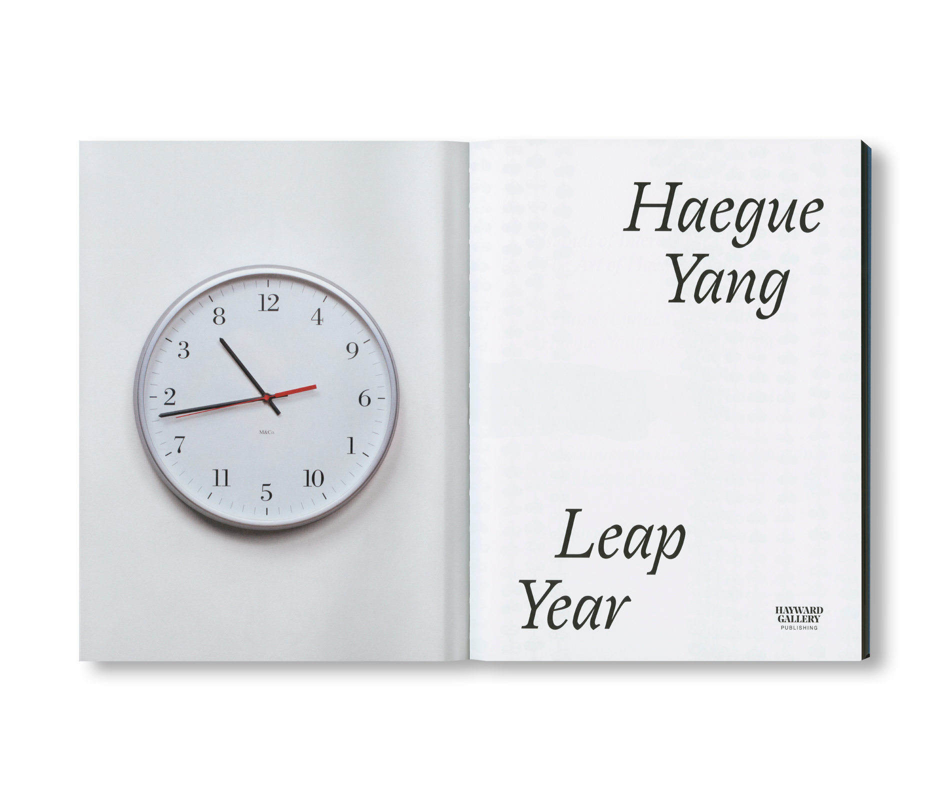 LEAP YEAR by Haegue Yang