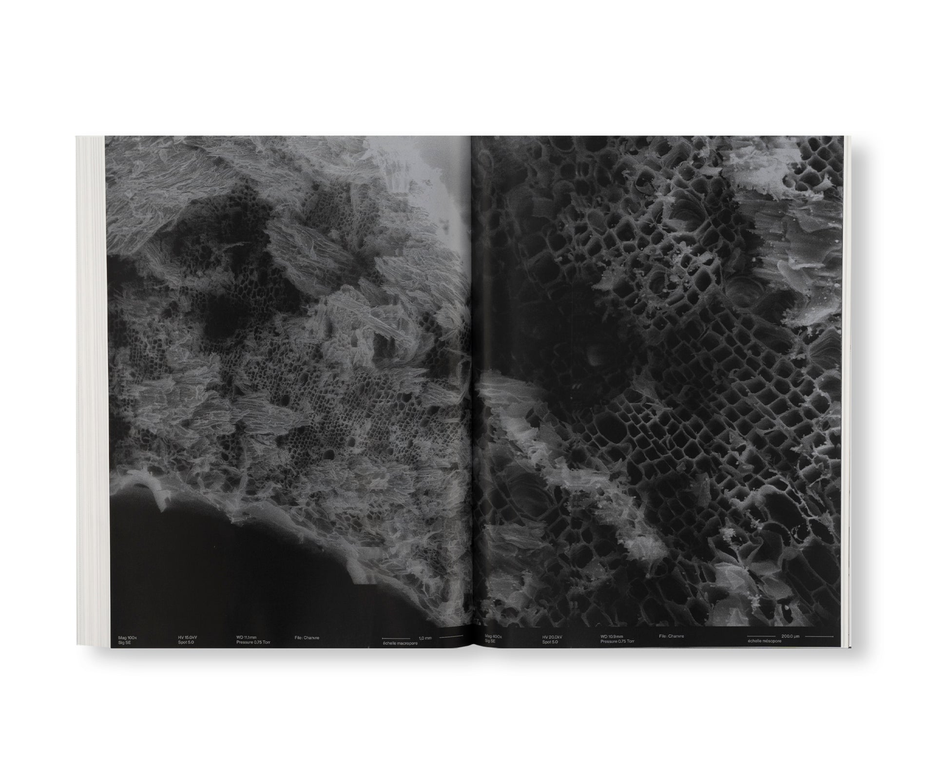 WALLNESS. NATURE AND CULTURE OF INSULATION. BUILDING WITH HEMPCRETE. by Barrault Pressacco