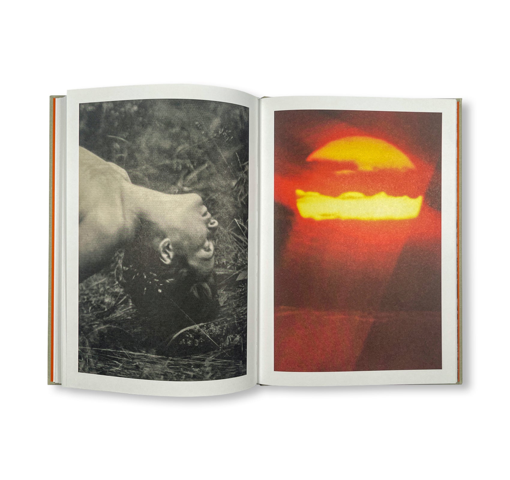 THE LOTTERY by Melissa Catanese