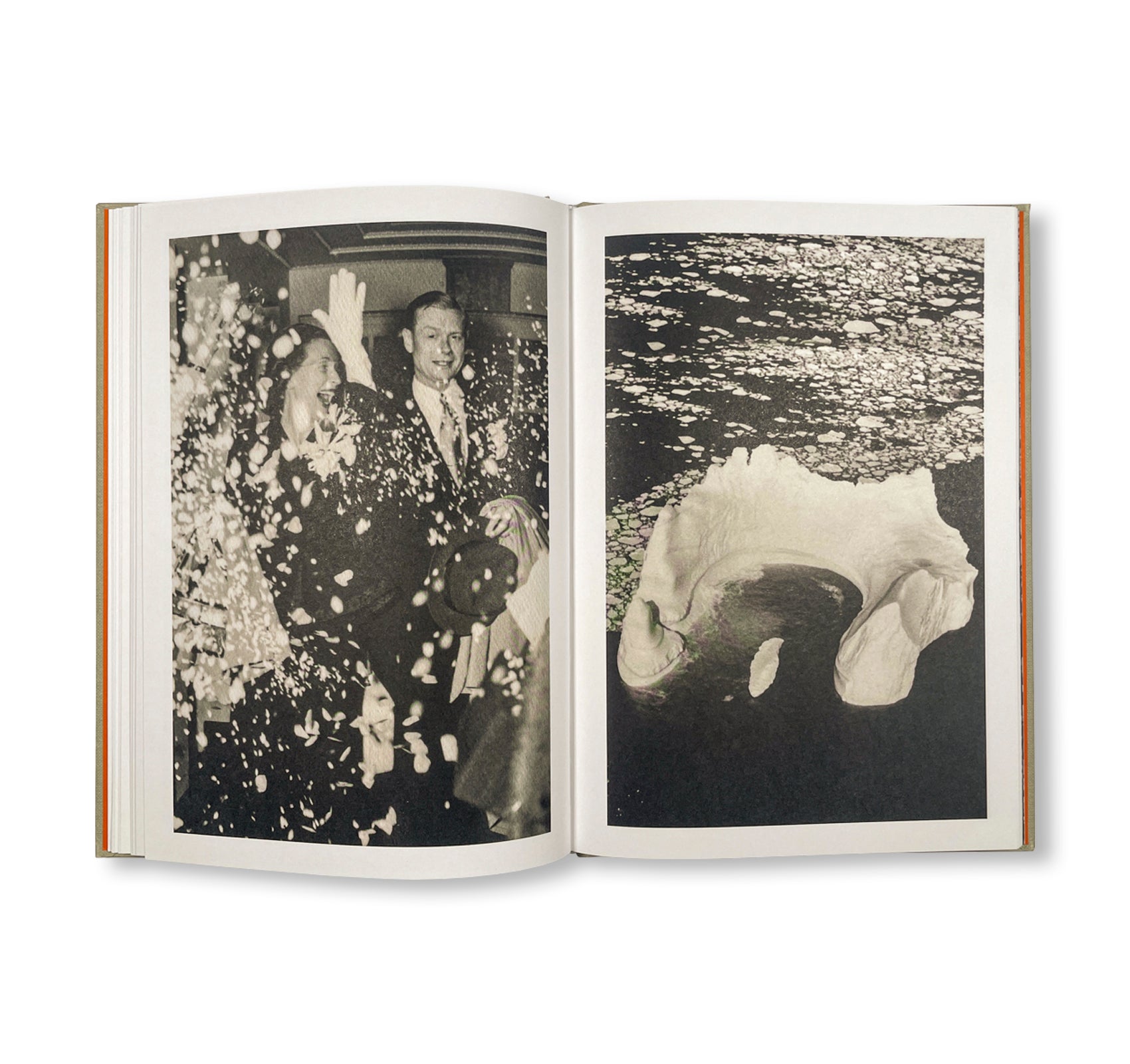 THE LOTTERY by Melissa Catanese