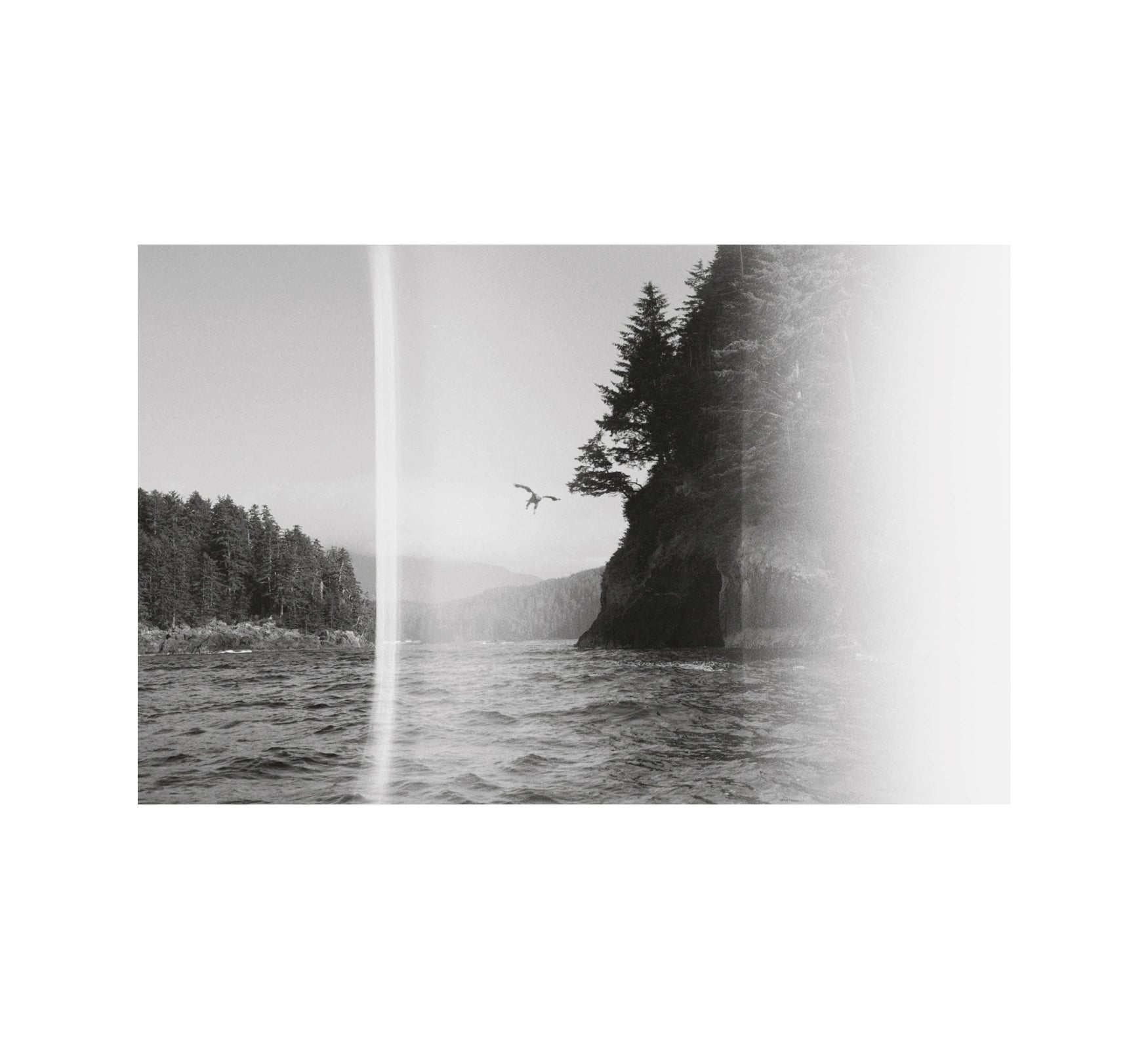 A MAGAZINE CURATED BY LUCIE AND LUKE MEIER