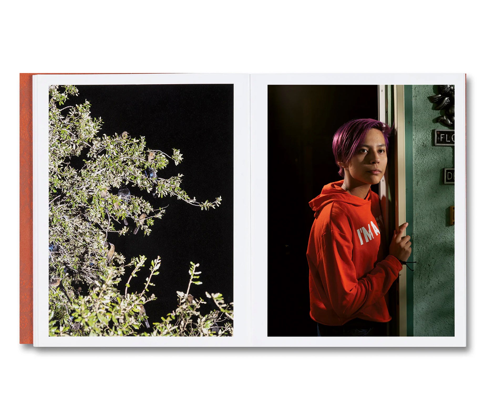 I’LL LET YOU BE IN MY DREAMS IF I CAN BE IN YOURS by Carolyn Drake, Andres Gonzalez