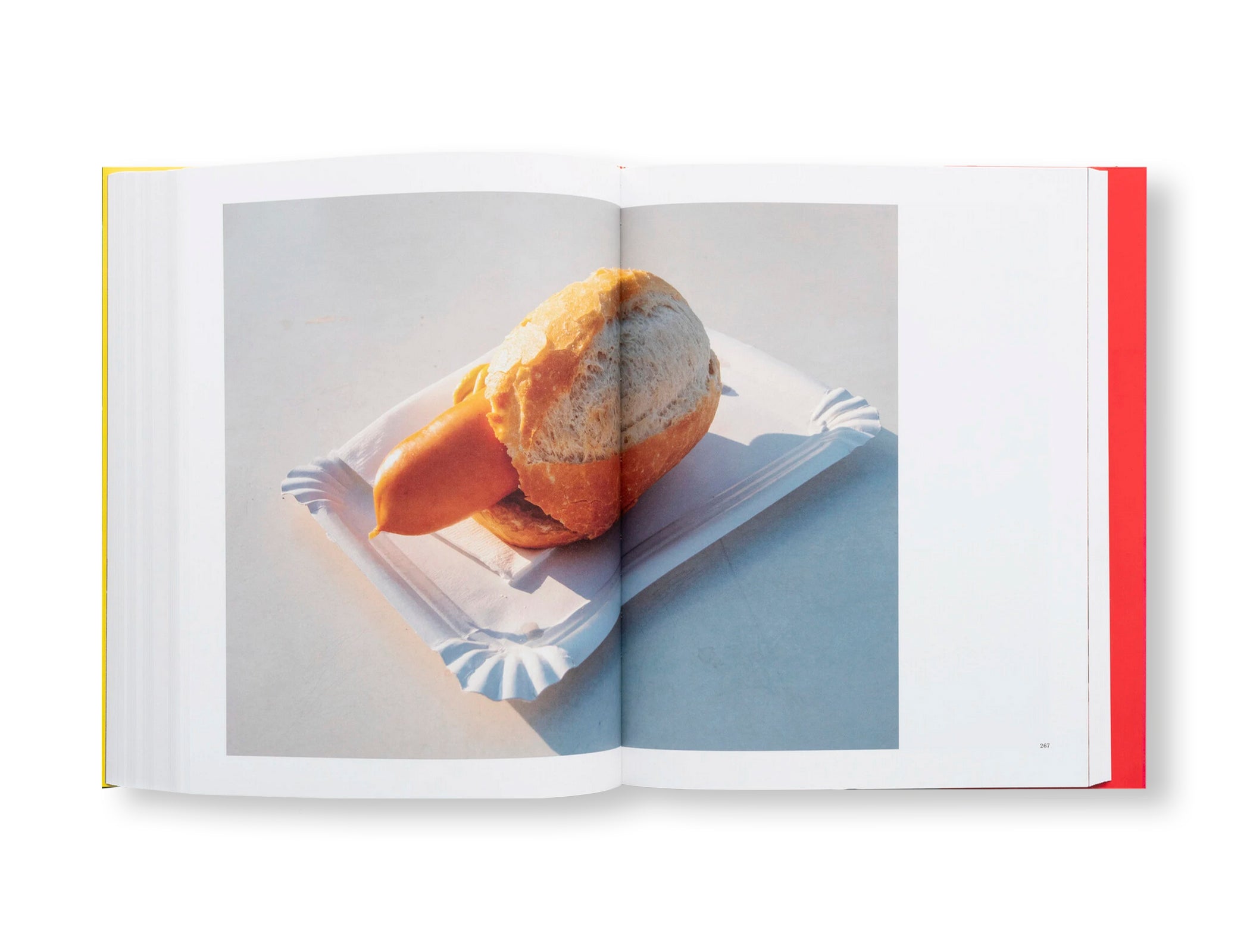 CHEZ WALTI PHOTOGRAPHS 2000–2022 by Walter Pfeiffer