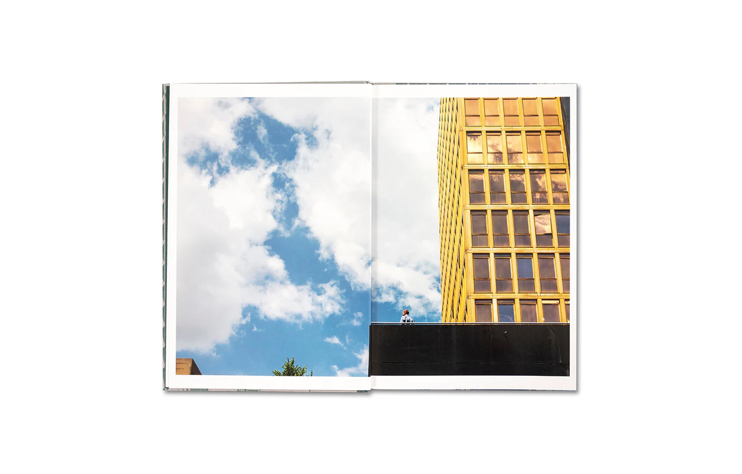 THE CITADEL: A TRILOGY by Mame-Diarra Niang