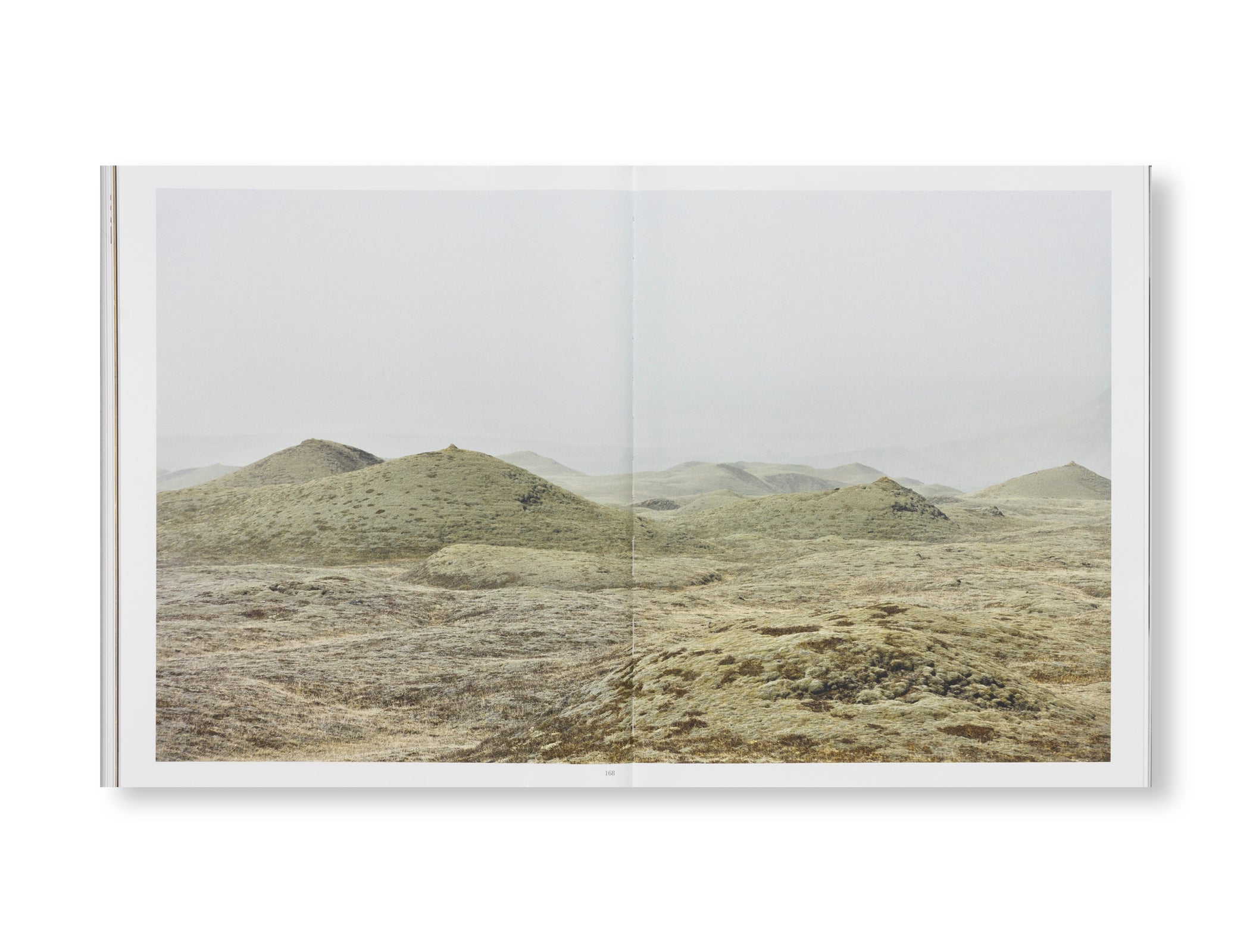 THE DETOUR OF IDENTITY by Roni Horn