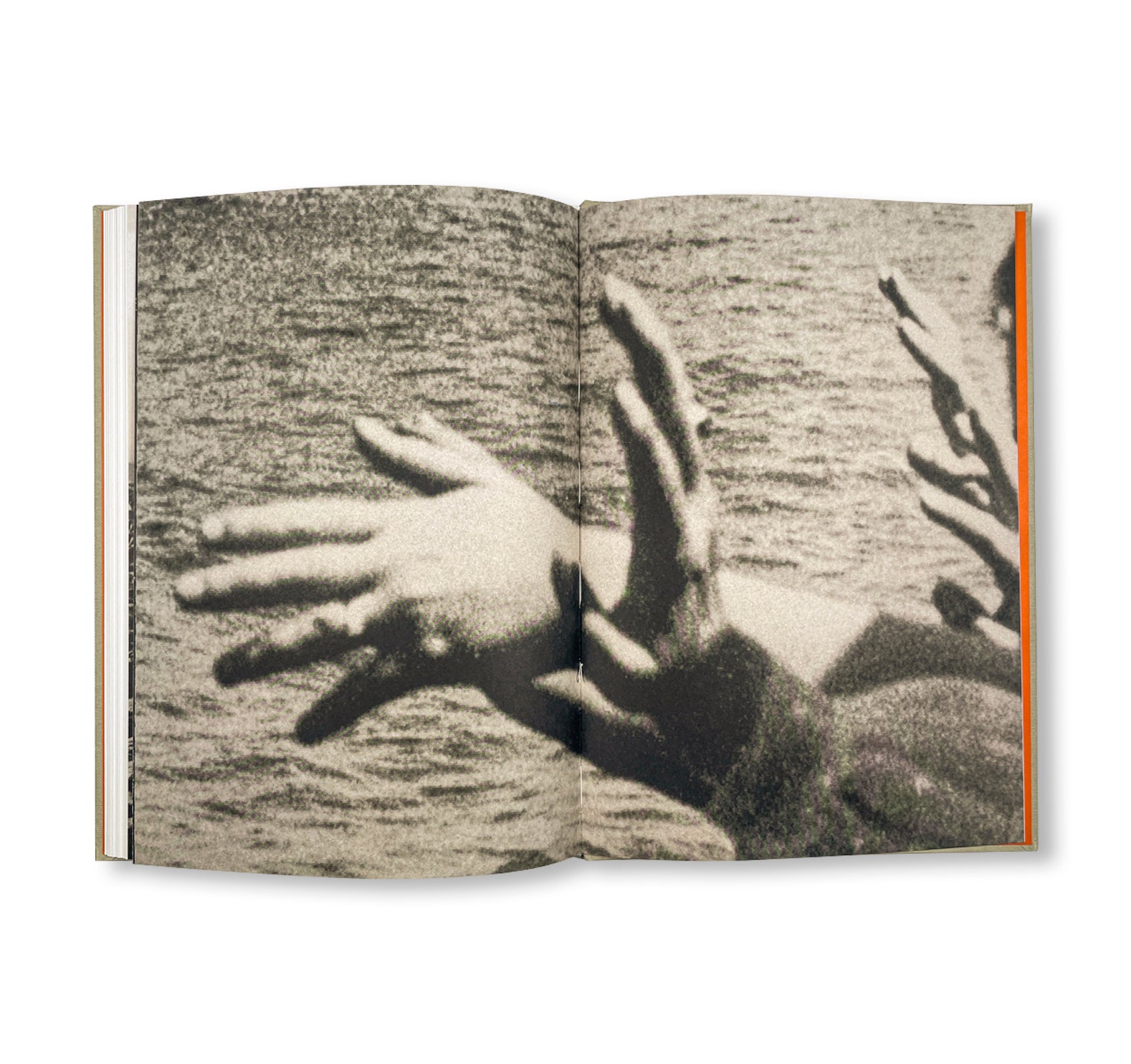 THE LOTTERY by Melissa Catanese