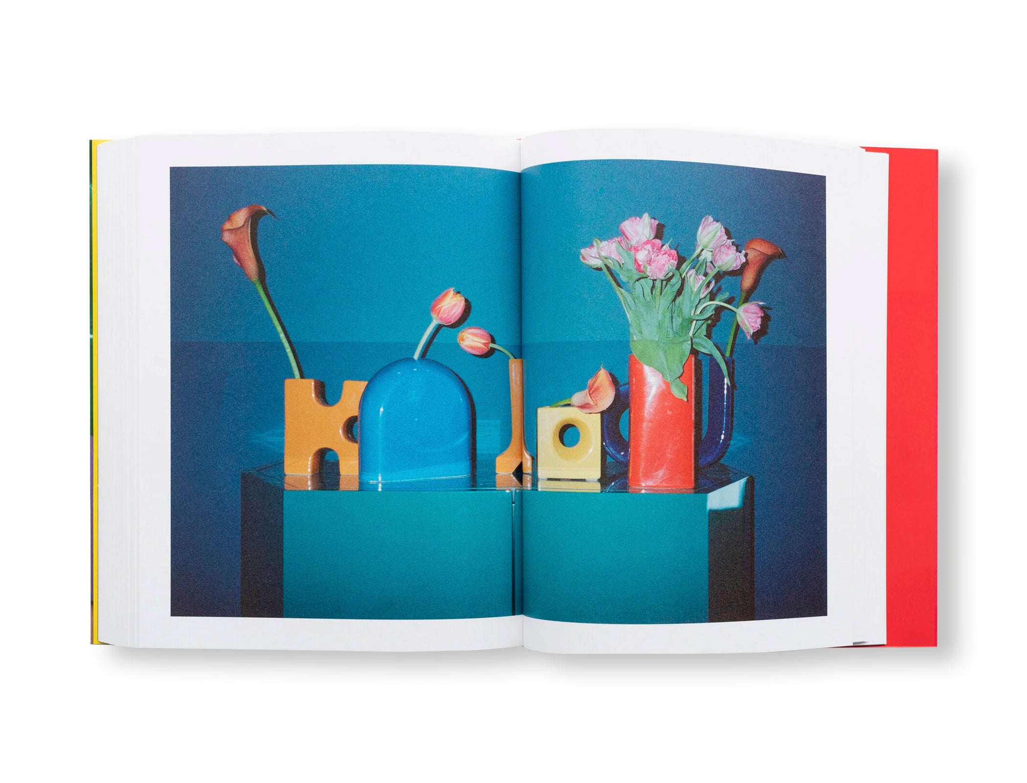 CHEZ WALTI PHOTOGRAPHS 2000–2022 by Walter Pfeiffer