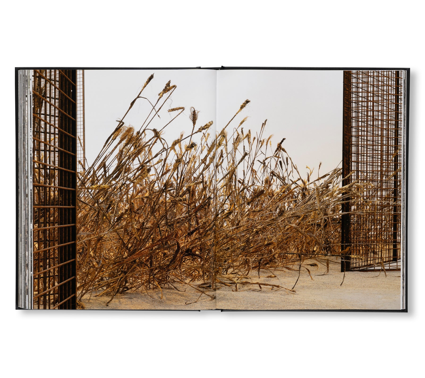 ANSELM KIEFER - STUDIOS by Danièle Cohn