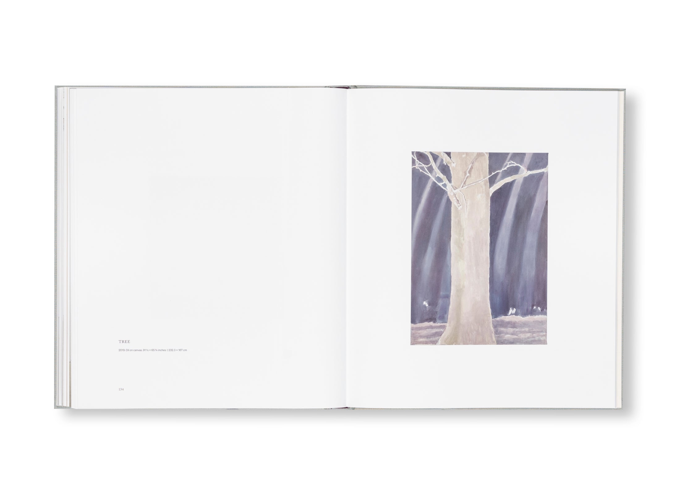 NICE by Luc Tuymans