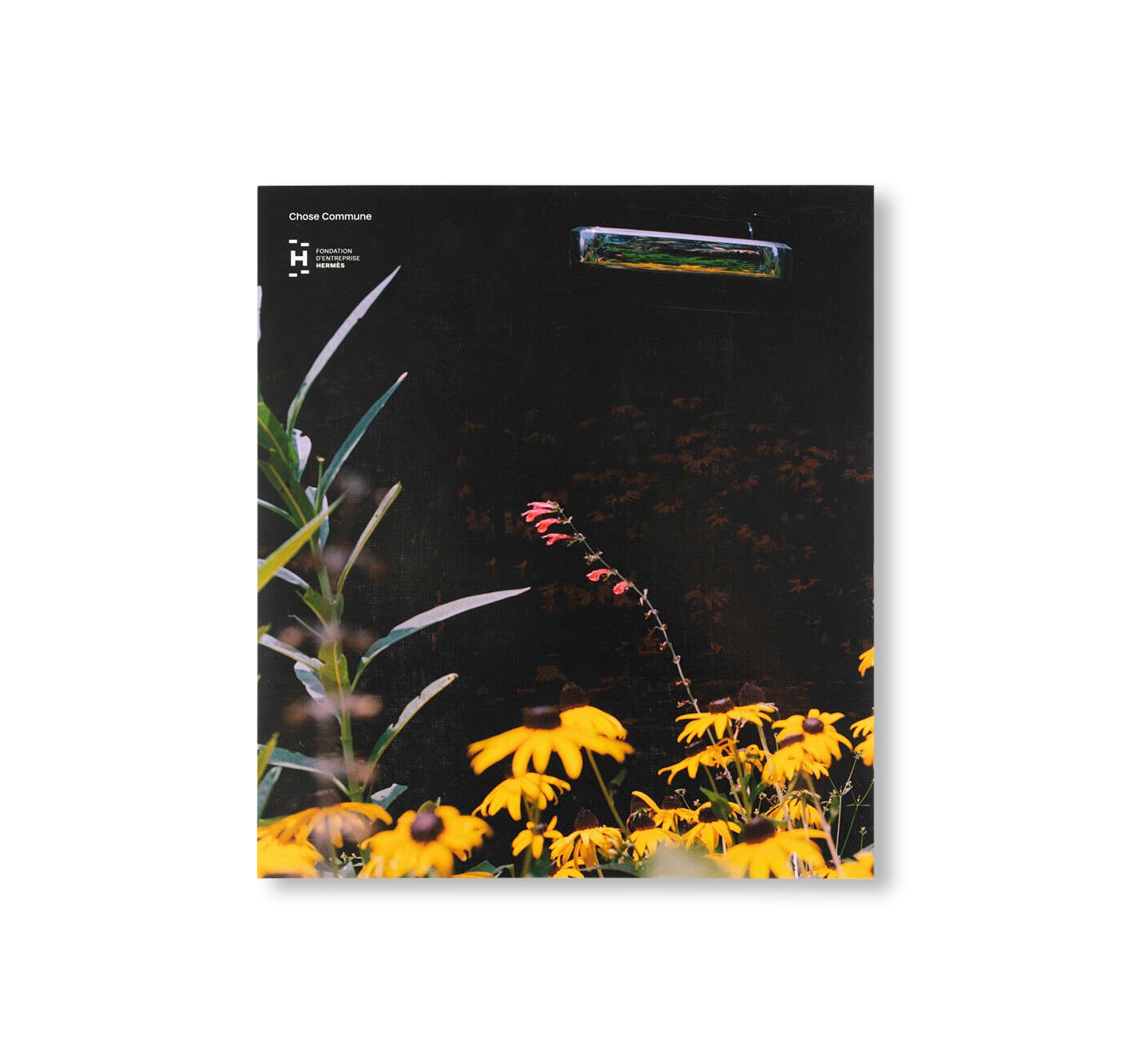 MYSTERY STREET by Vasantha Yogananthan