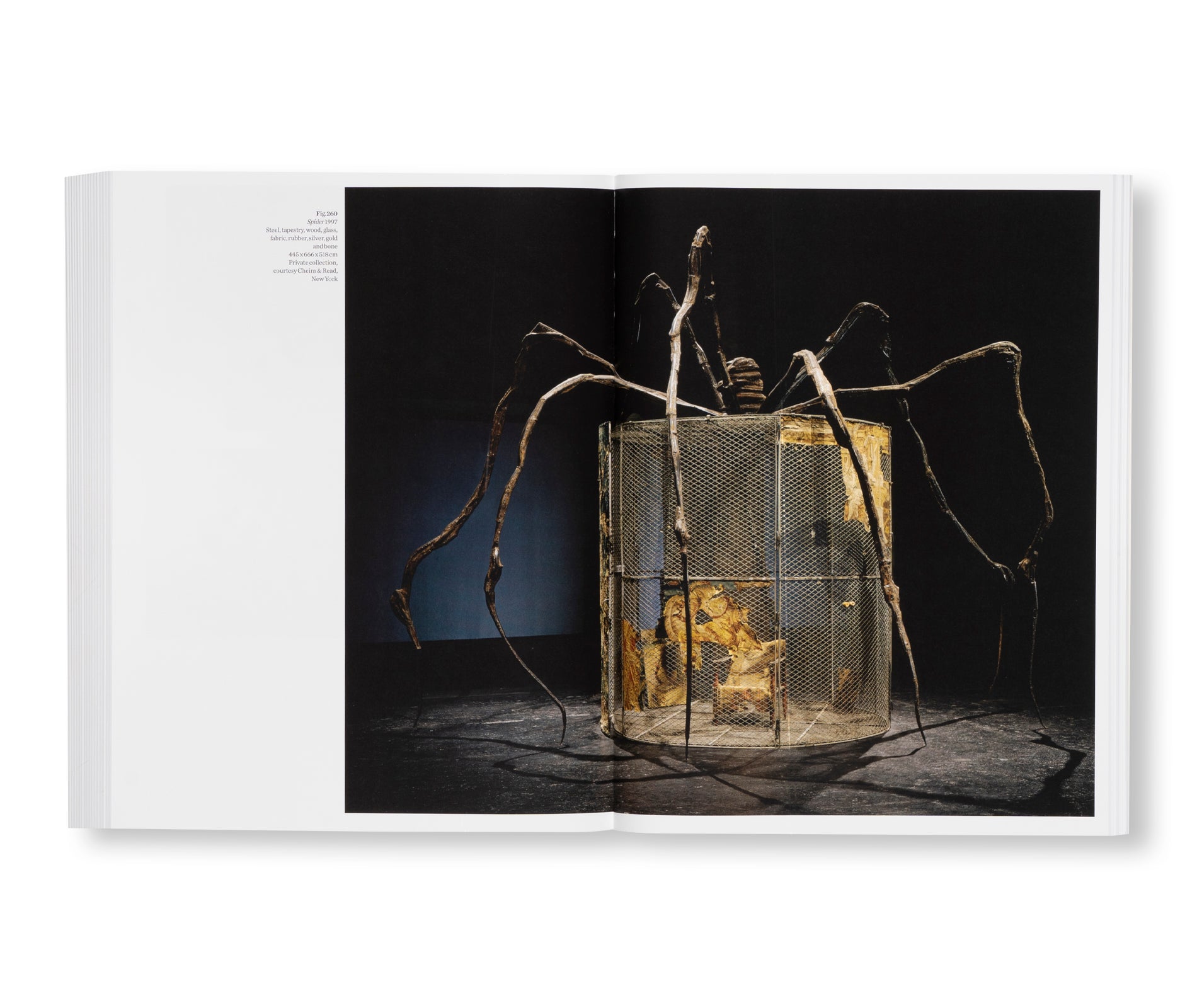 LOUISE BOURGEOIS by Louise Bourgeois