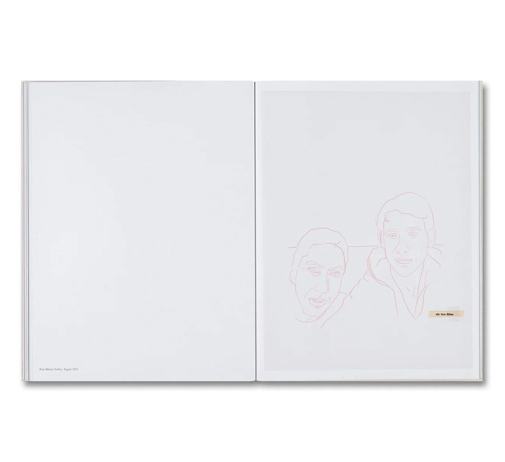 COSMOS by Collier Schorr