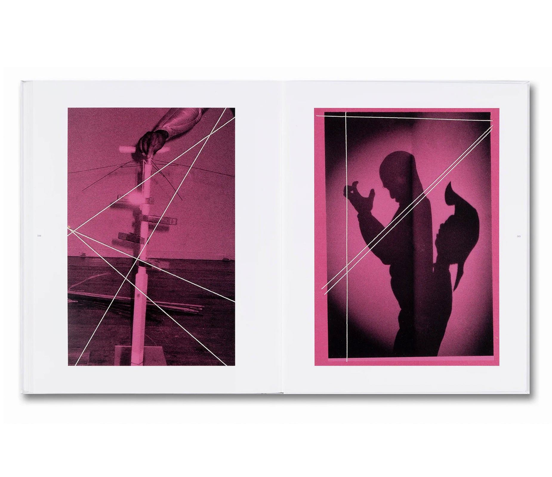 I WILL KEEP YOU IN GOOD COMPANY by Liz Johnson Artur