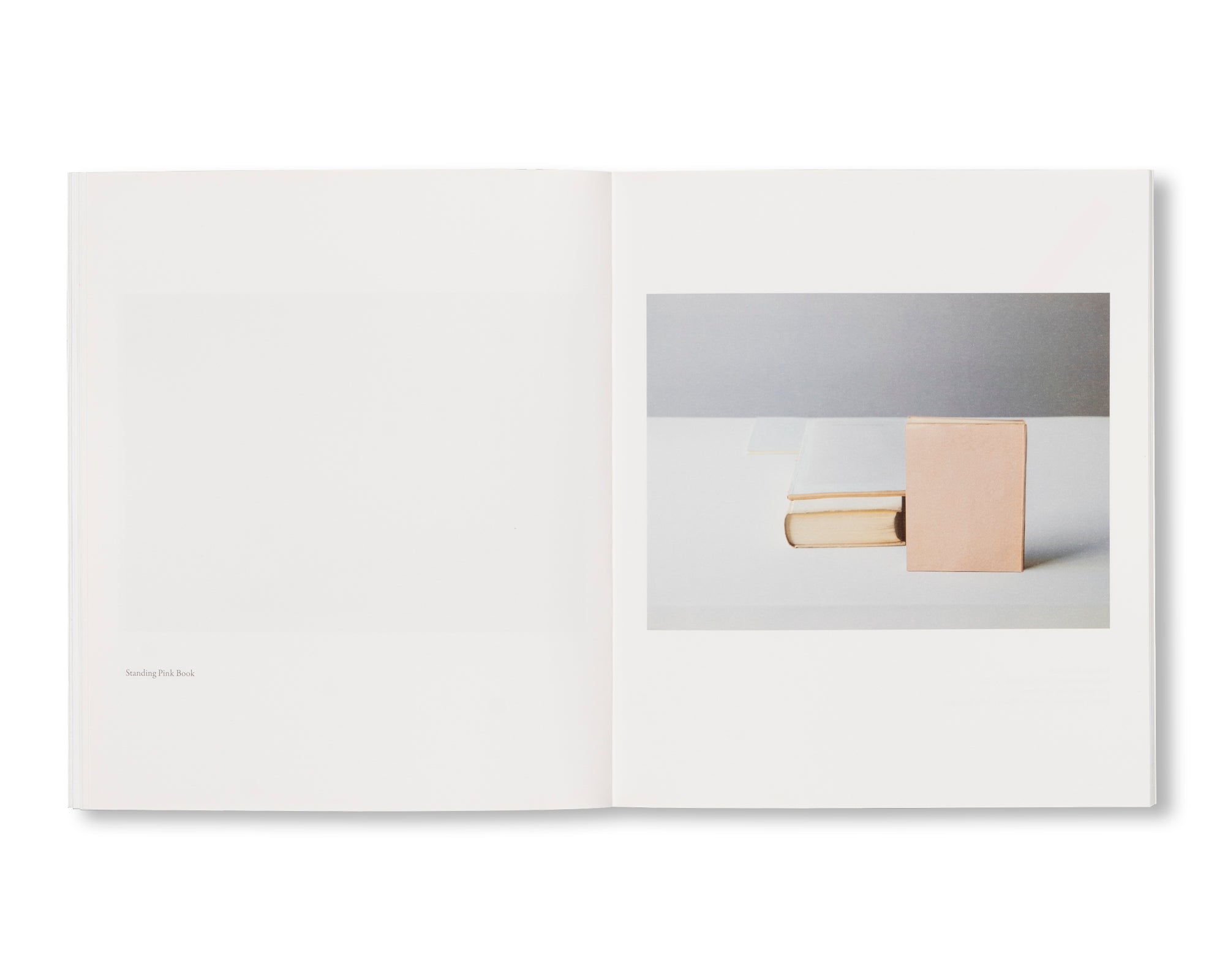 MORANDI’S BOOKS by Mary Ellen Bartley