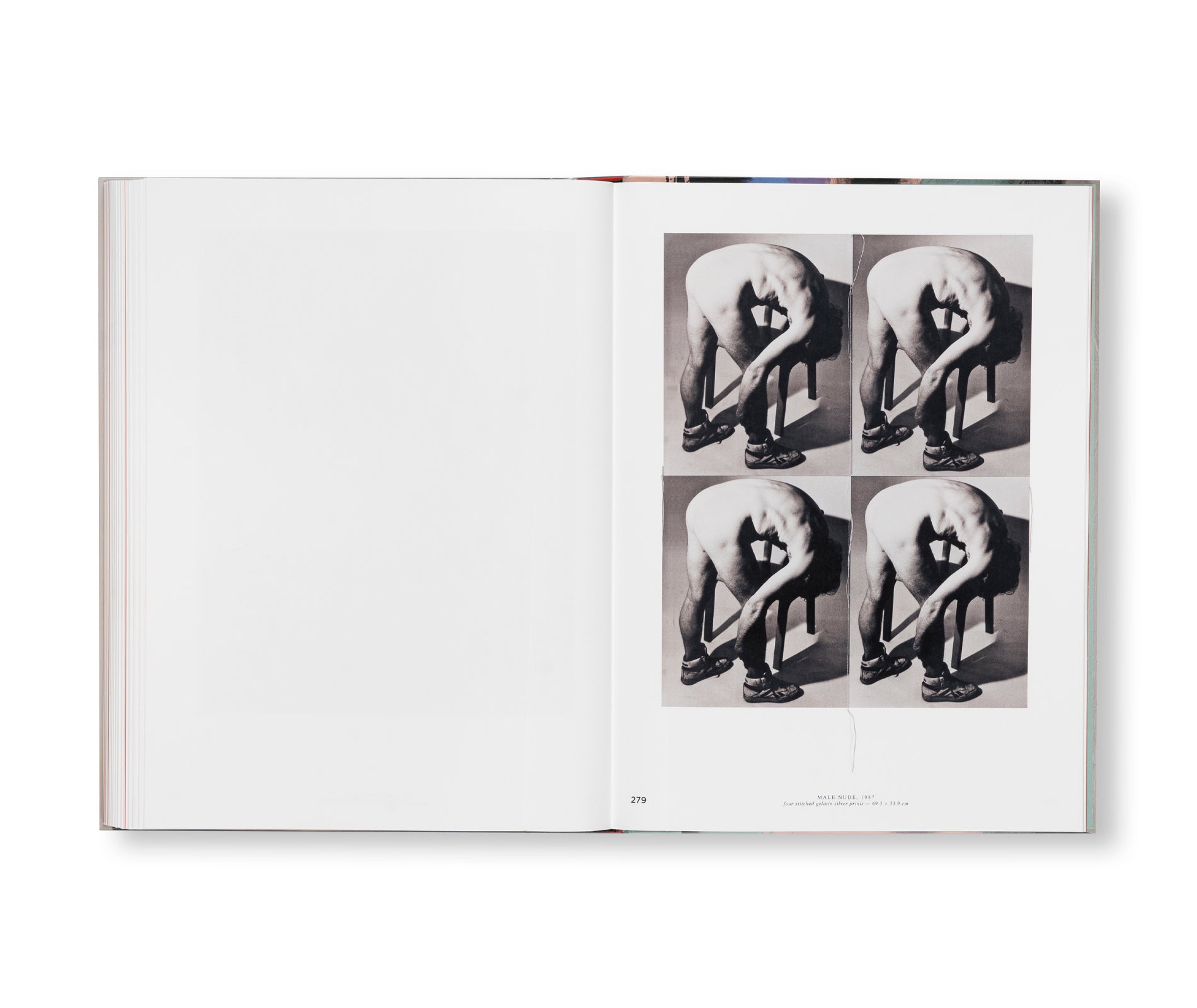 ANDY WARHOL - VELVET RAGE AND BEAUTY by Andy Warhol