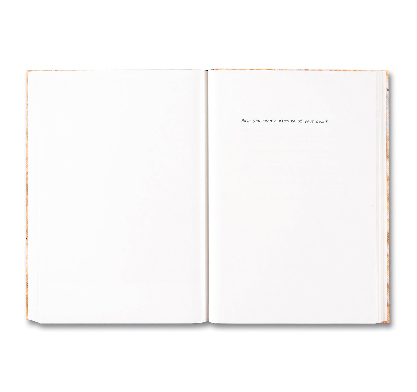 ANOTHER ONLINE PERVERT by Brea Souders