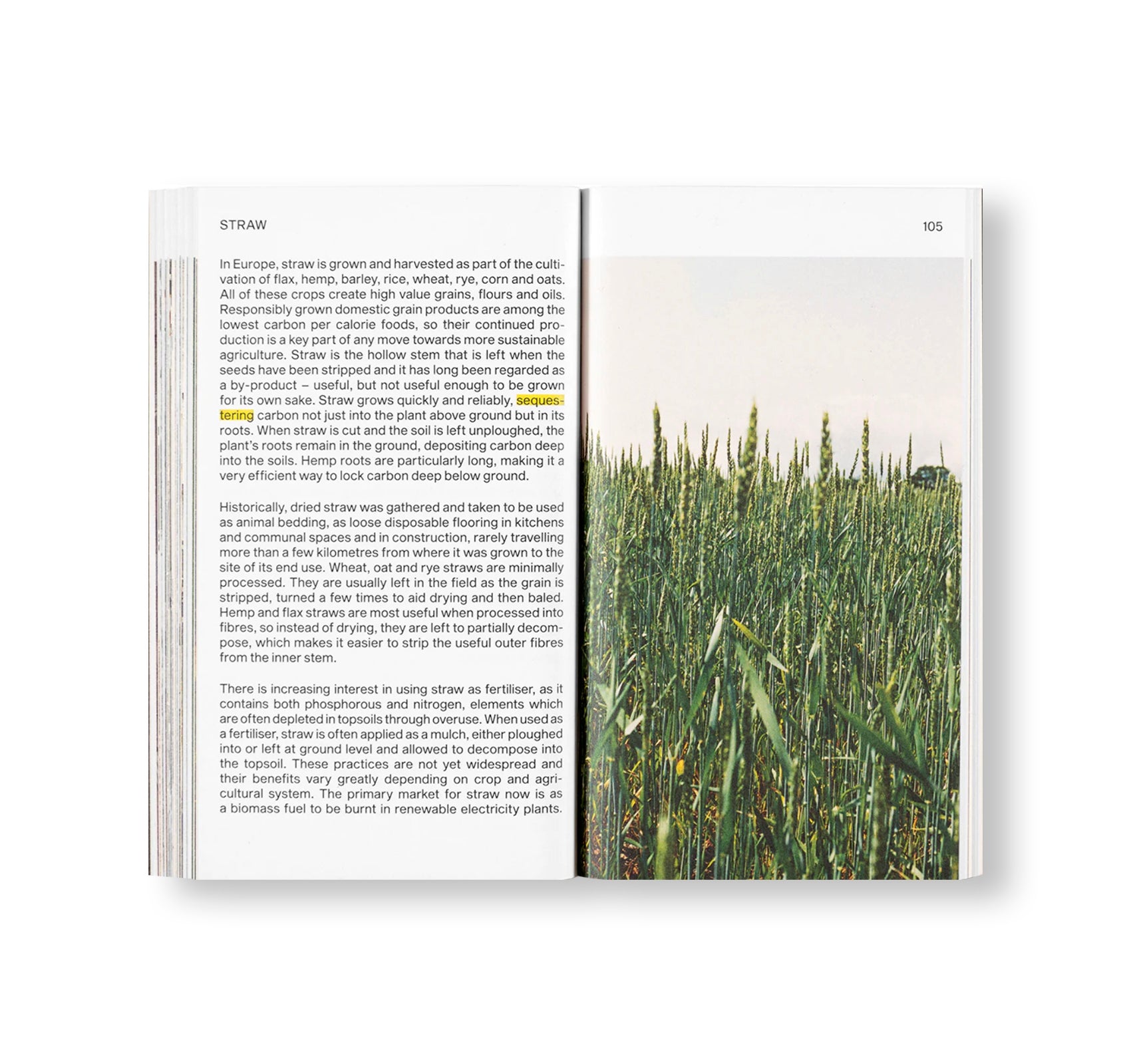 MATERIAL REFORM: BUILDING FOR A POST-CARBON FUTURE by Material Cultures (2024)