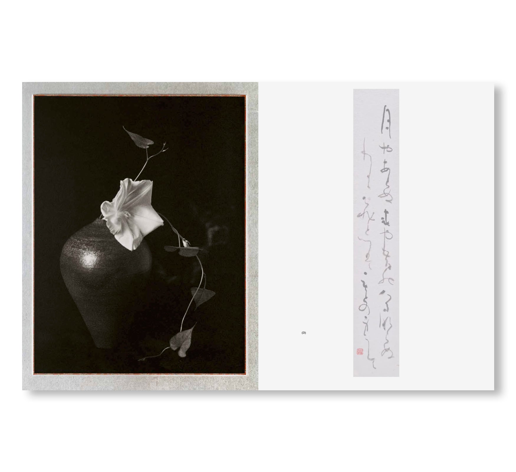 MONO NO AWARE・BEAUTY OF IMPERMANENCE by Kenro Izu