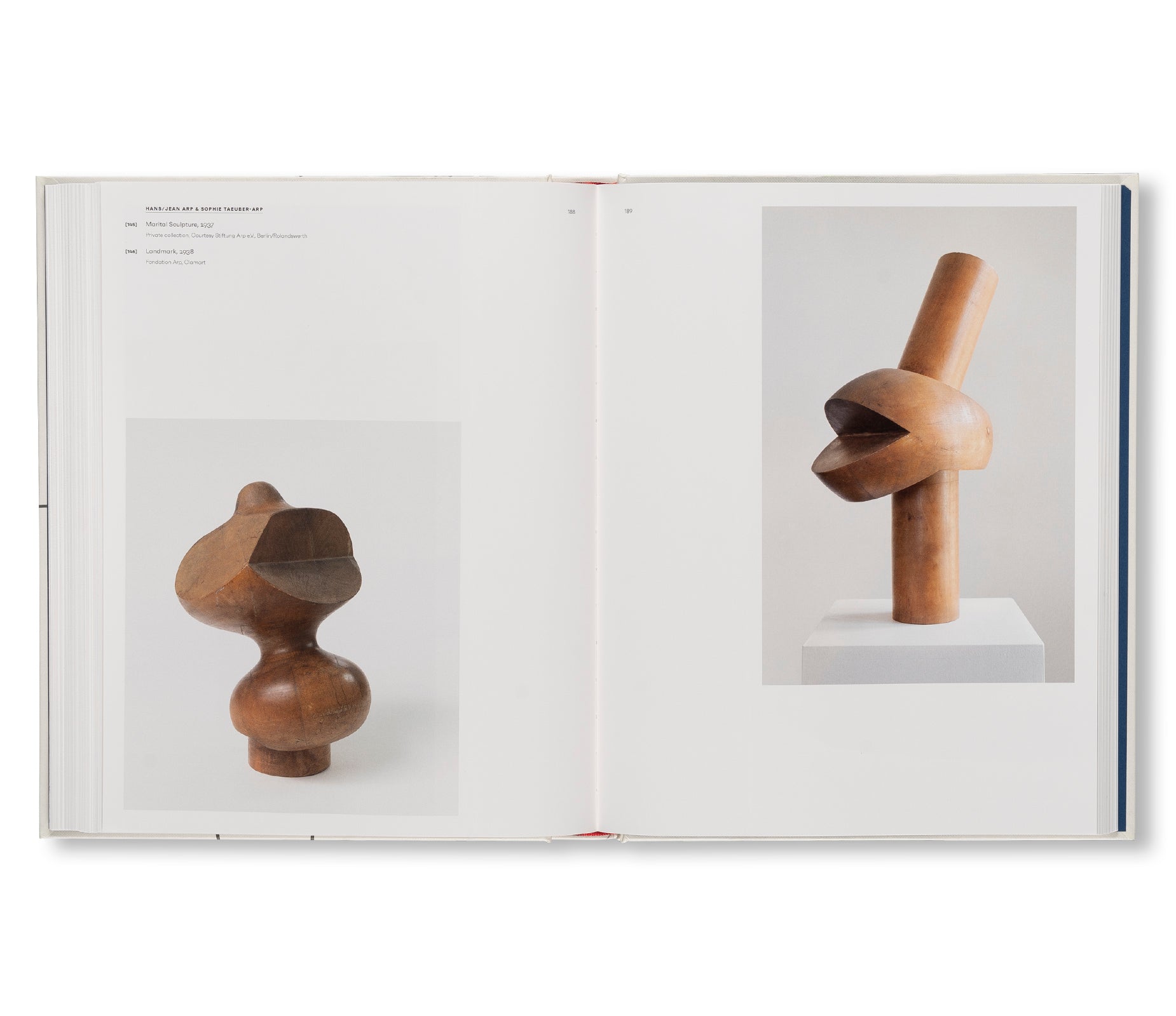FRIENDS, LOVERS, PARTNERS by Jean Arp, Sophie Taeuber-Arp