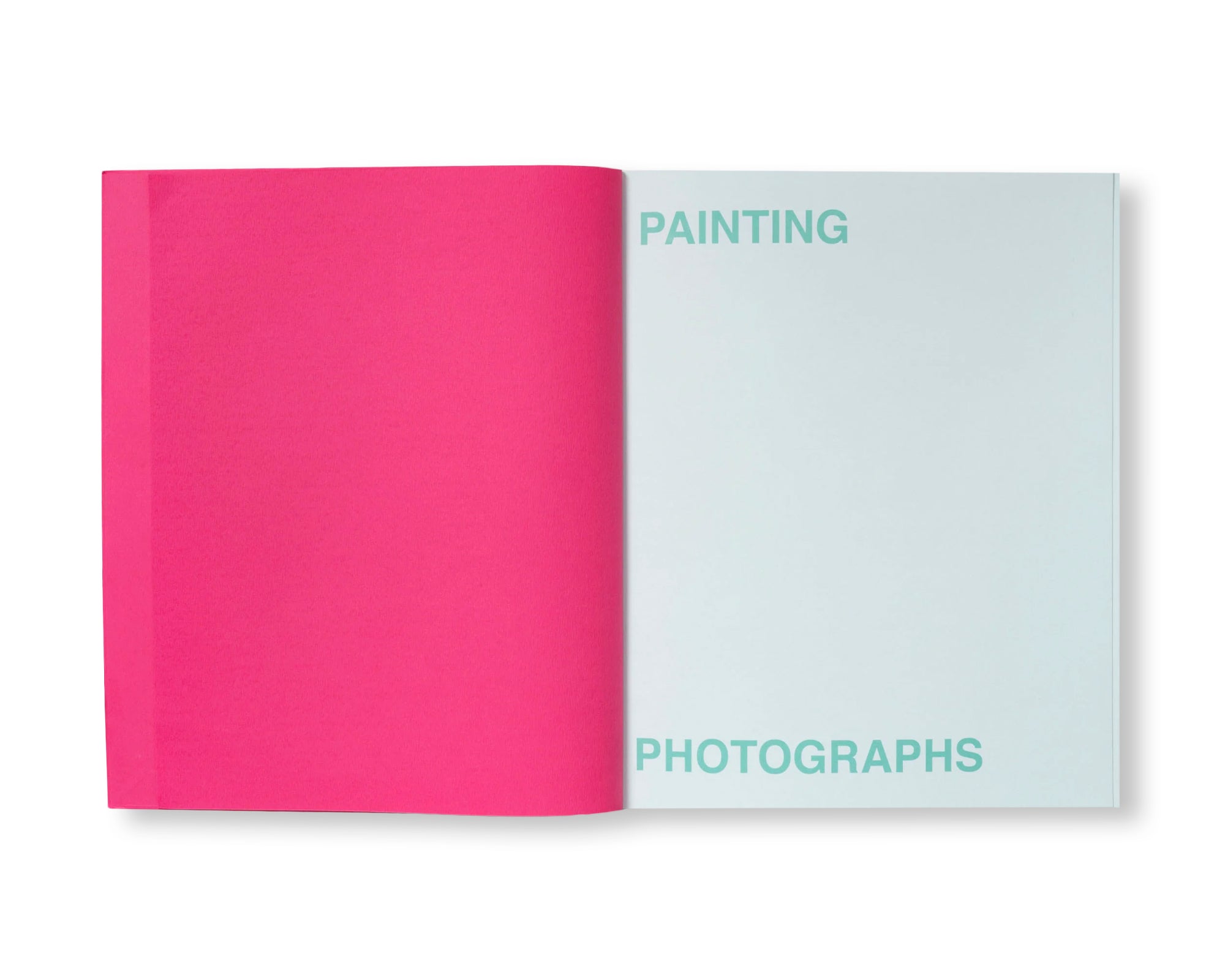 PAINTING PHOTOGRAPHS by Alice Wong