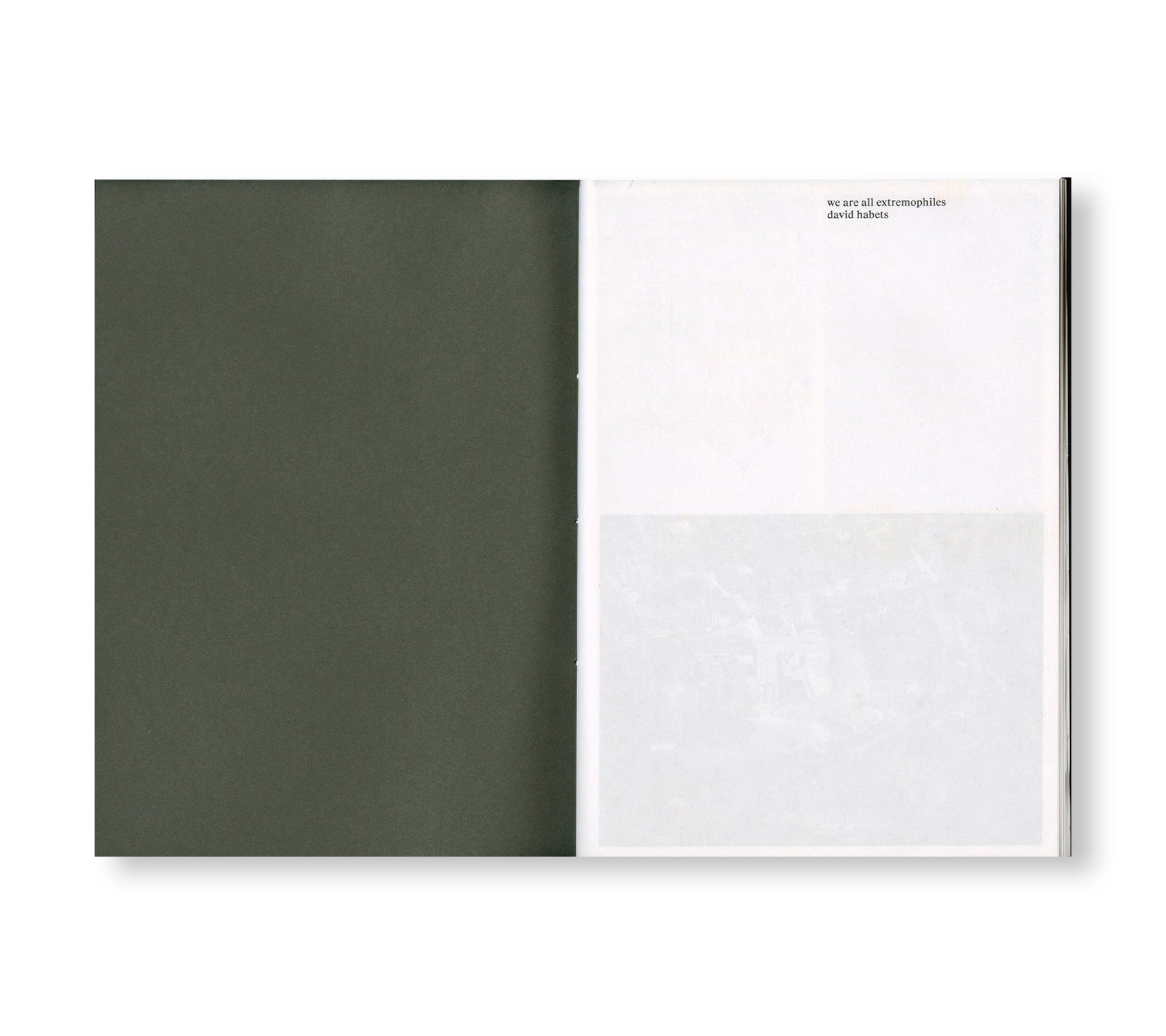 WE ARE ALL EXTREMOPHILES by David Habets