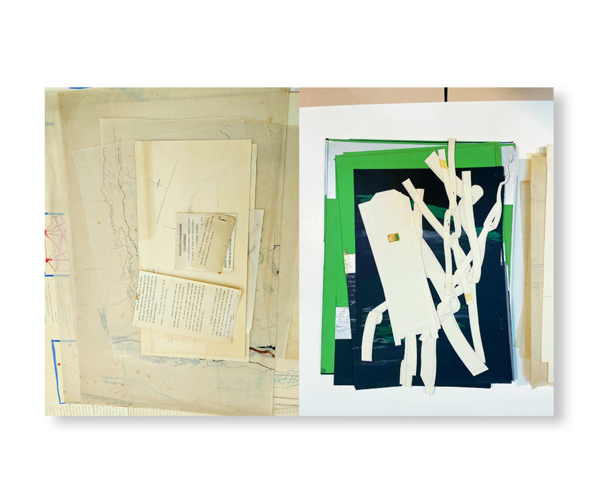 AP205 AMANCIO WILLIAMS: READINGS OF THE ARCHIVE by Amancio Williams