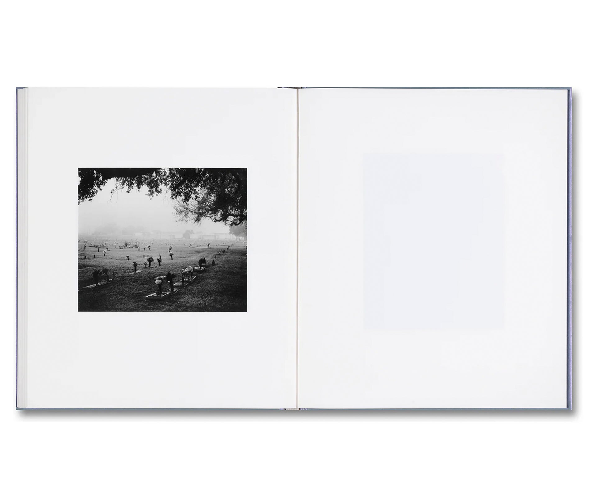 I SHALL SING THESE SONGS BEAUTIFULLY by Yorgos Lanthimos