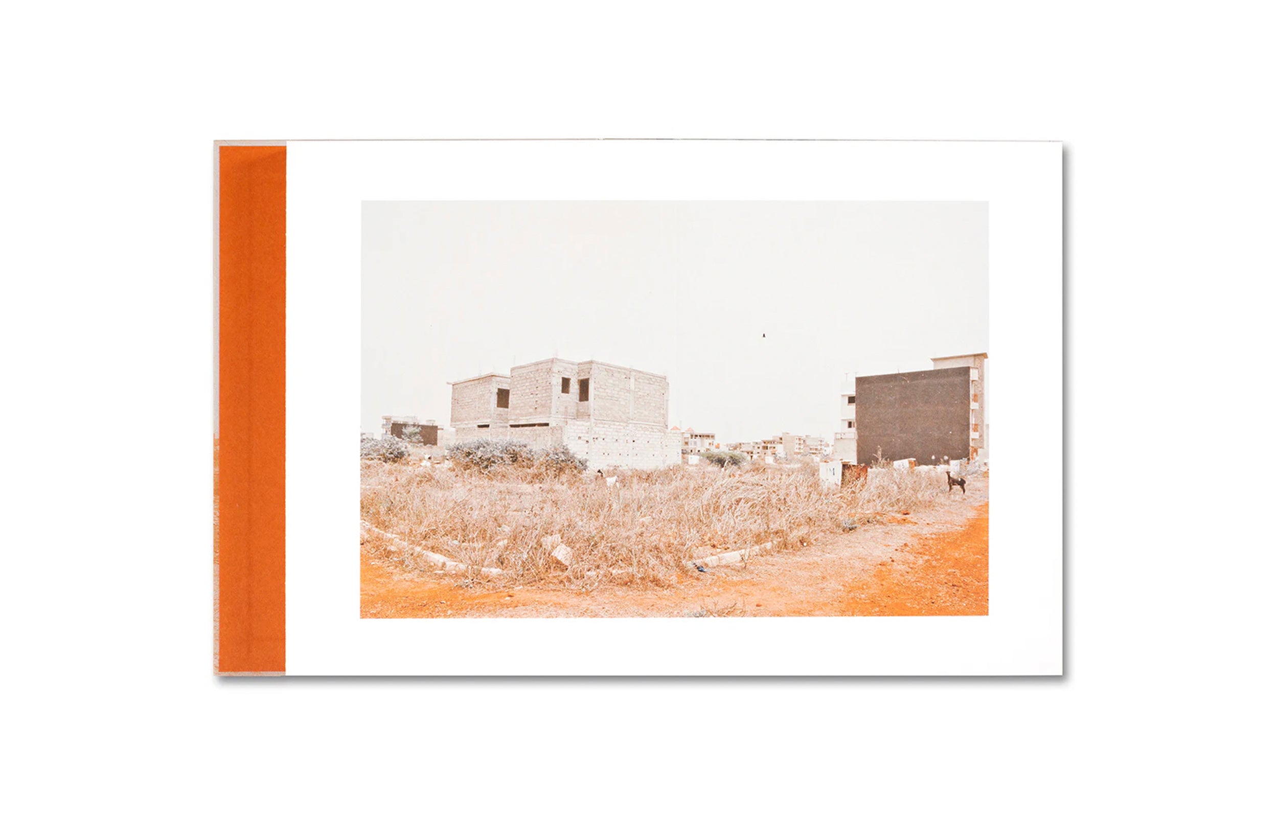 THE CITADEL: A TRILOGY by Mame-Diarra Niang