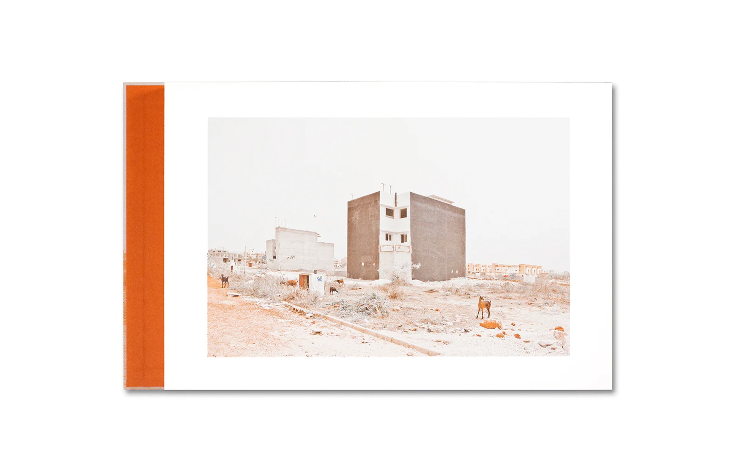 THE CITADEL: A TRILOGY by Mame-Diarra Niang