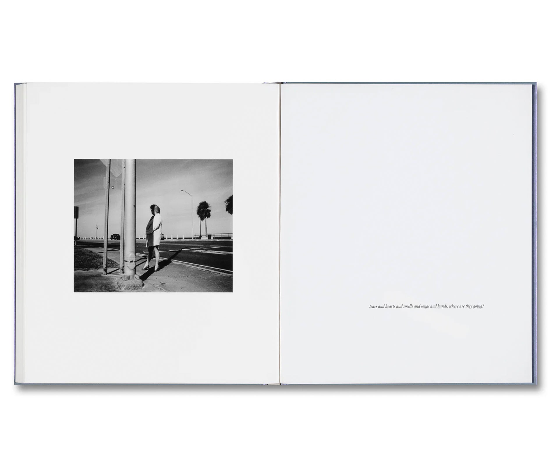 I SHALL SING THESE SONGS BEAUTIFULLY by Yorgos Lanthimos