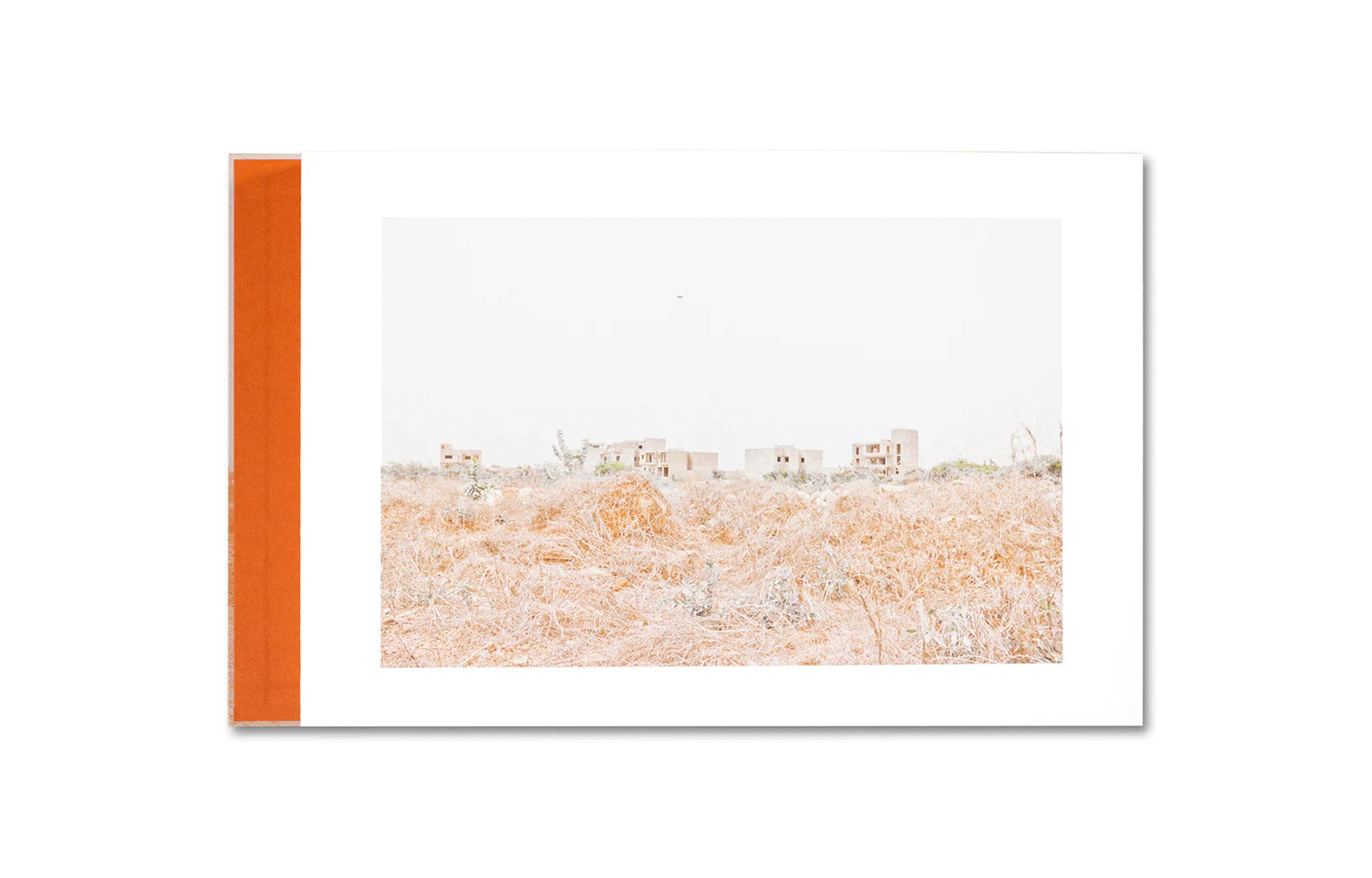 THE CITADEL: A TRILOGY by Mame-Diarra Niang