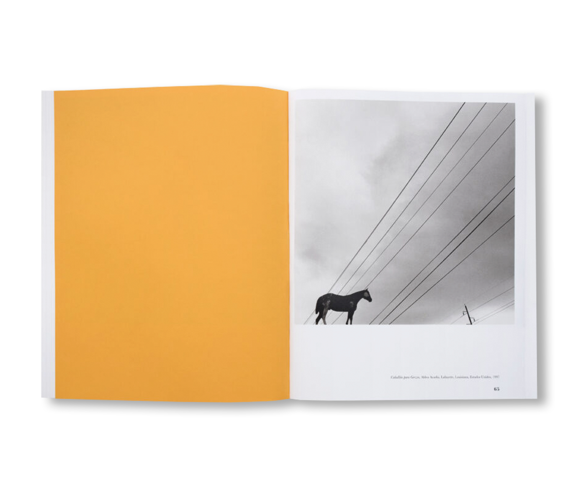 HELIOTROPO 37 by Graciela Iturbide