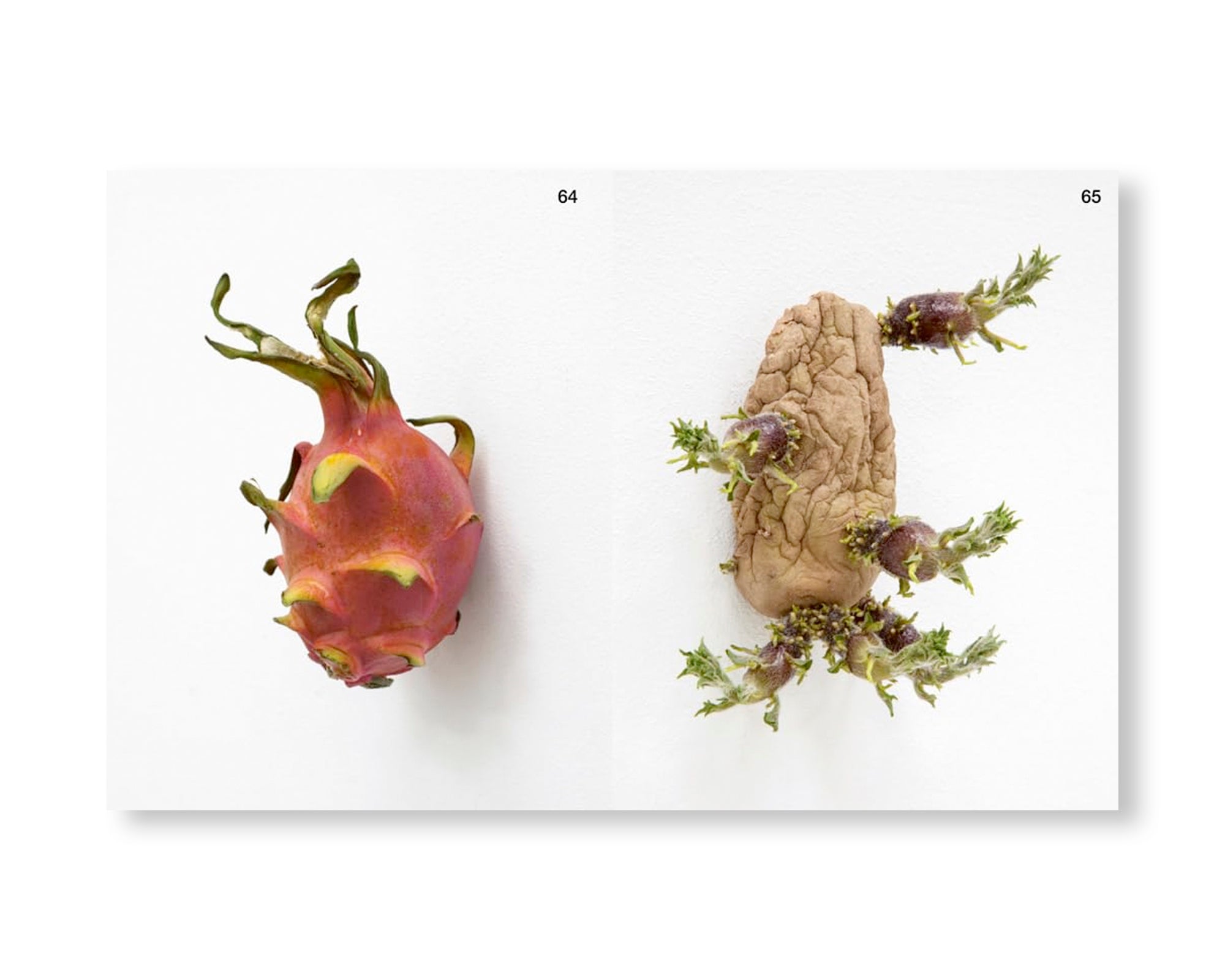 ARCH+ 255: ARCH+KUNST KARIN SANDER