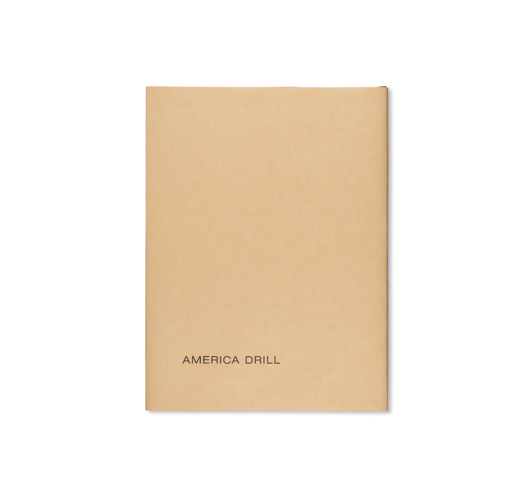 AMERICA DRILL, 1963/2003 by Carl Andre