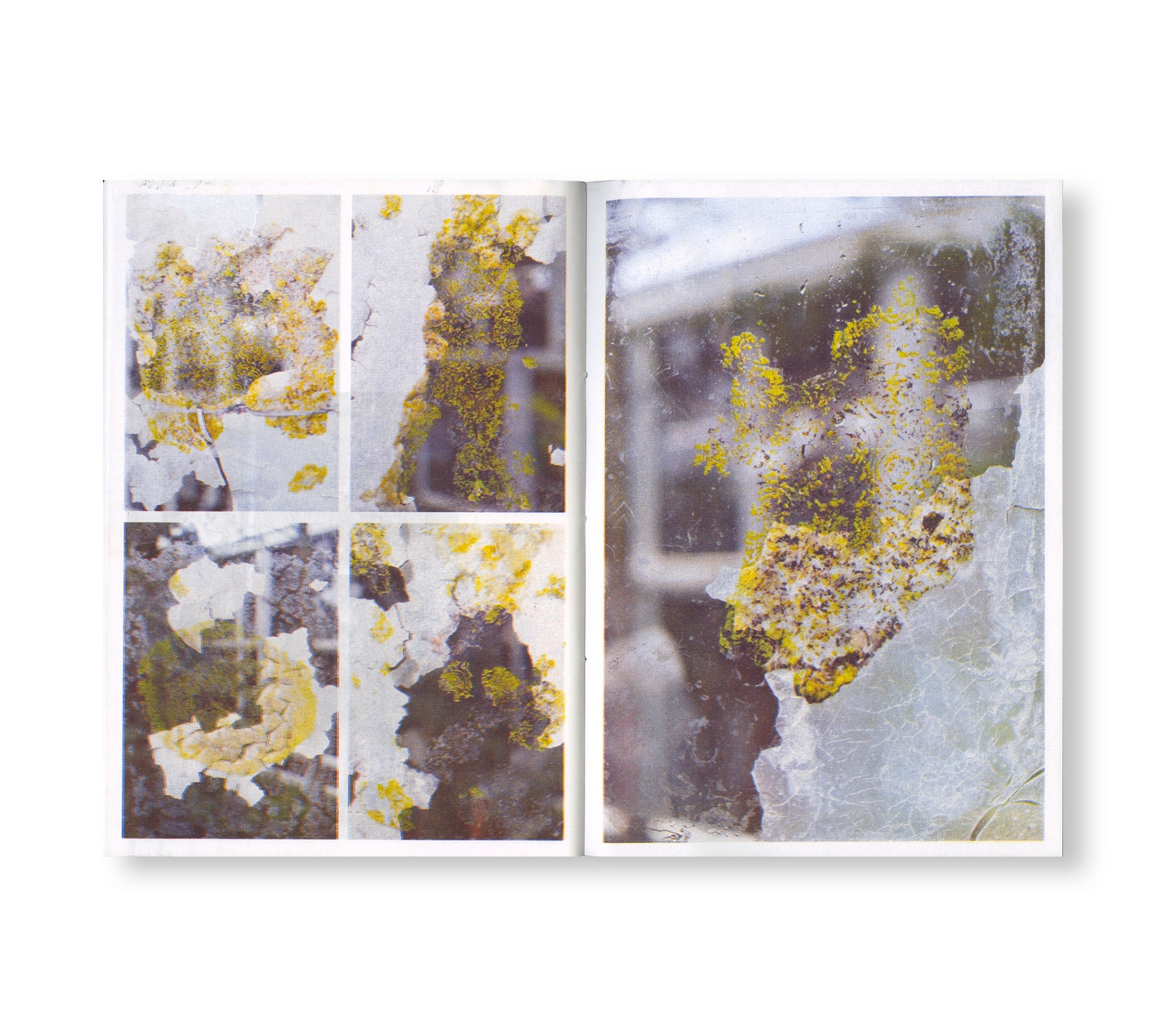 WE ARE ALL EXTREMOPHILES by David Habets