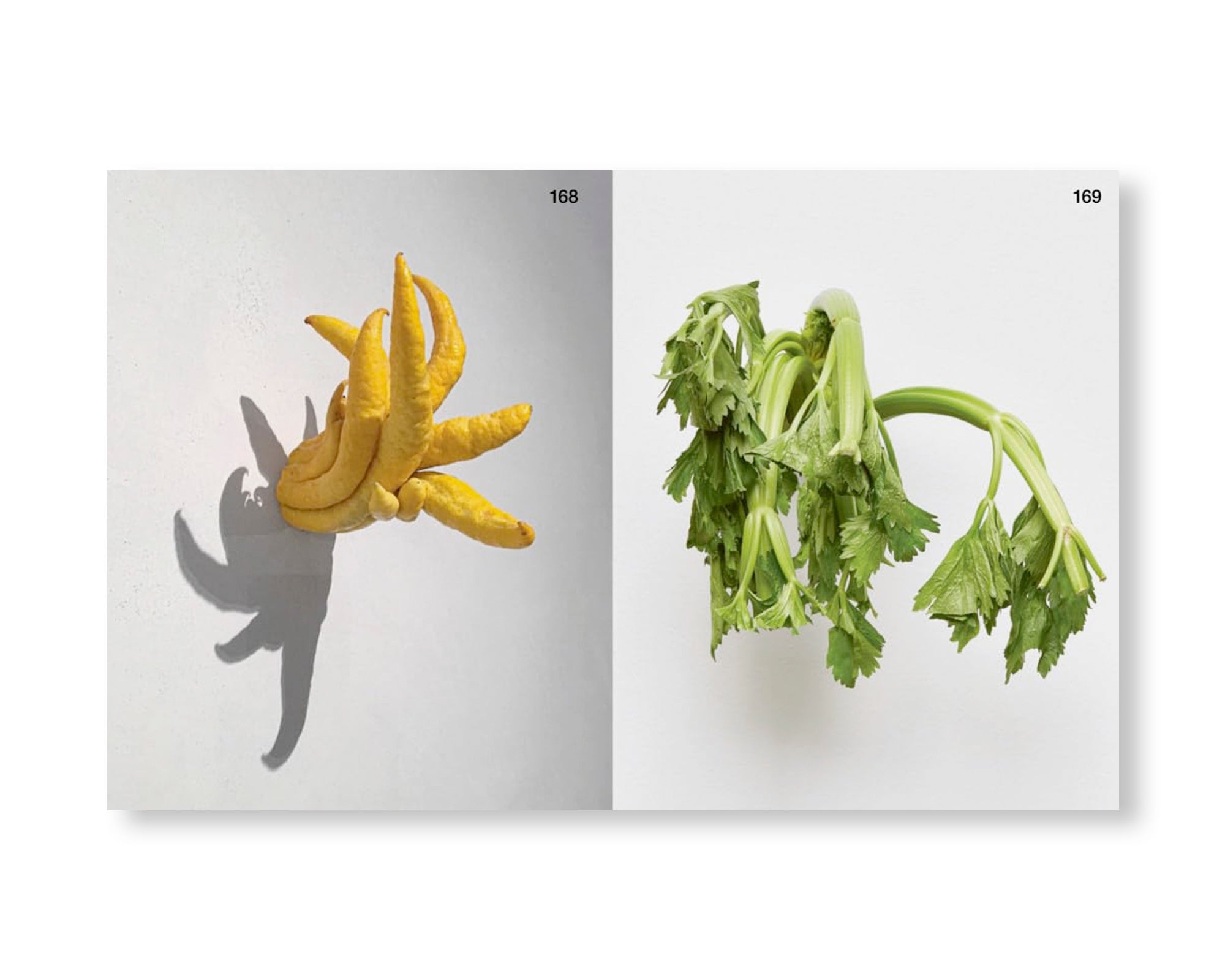 ARCH+ 255: ARCH+KUNST KARIN SANDER