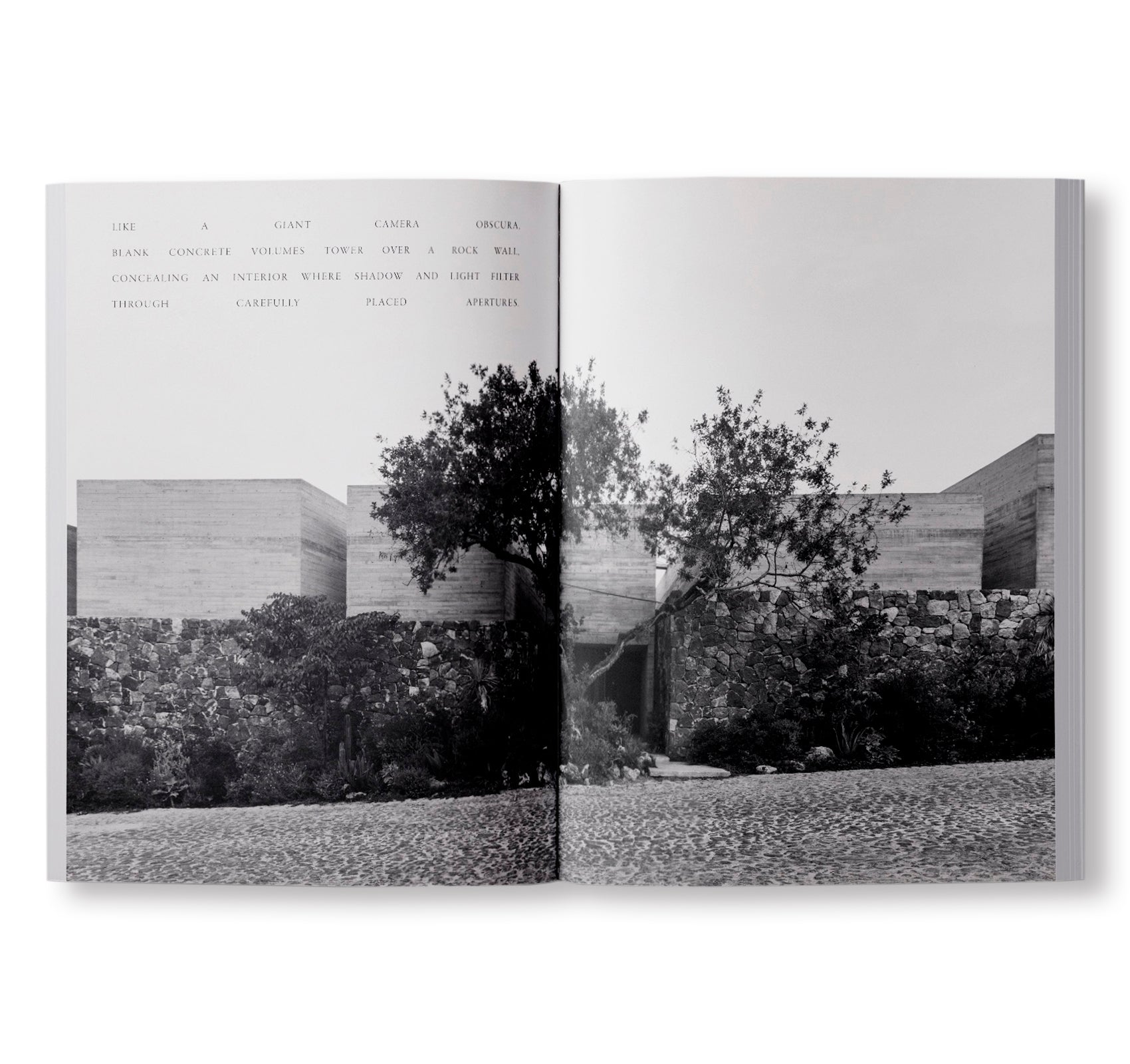 ARK JOURNAL VOLUME XII AUTUMN/WINTER 2024/25