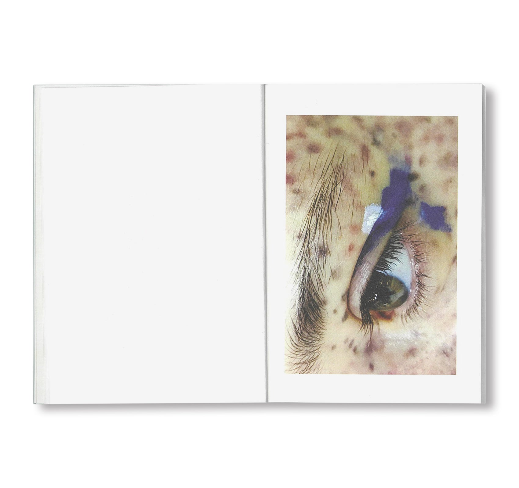 EYES by Inge Grognard