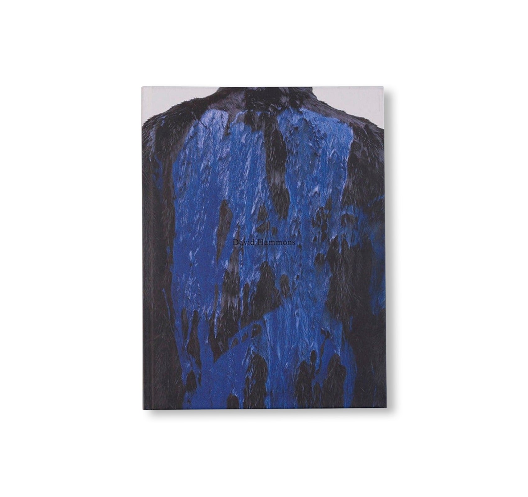DAVID HAMMONS by David Hammons (WHITE CUBE)