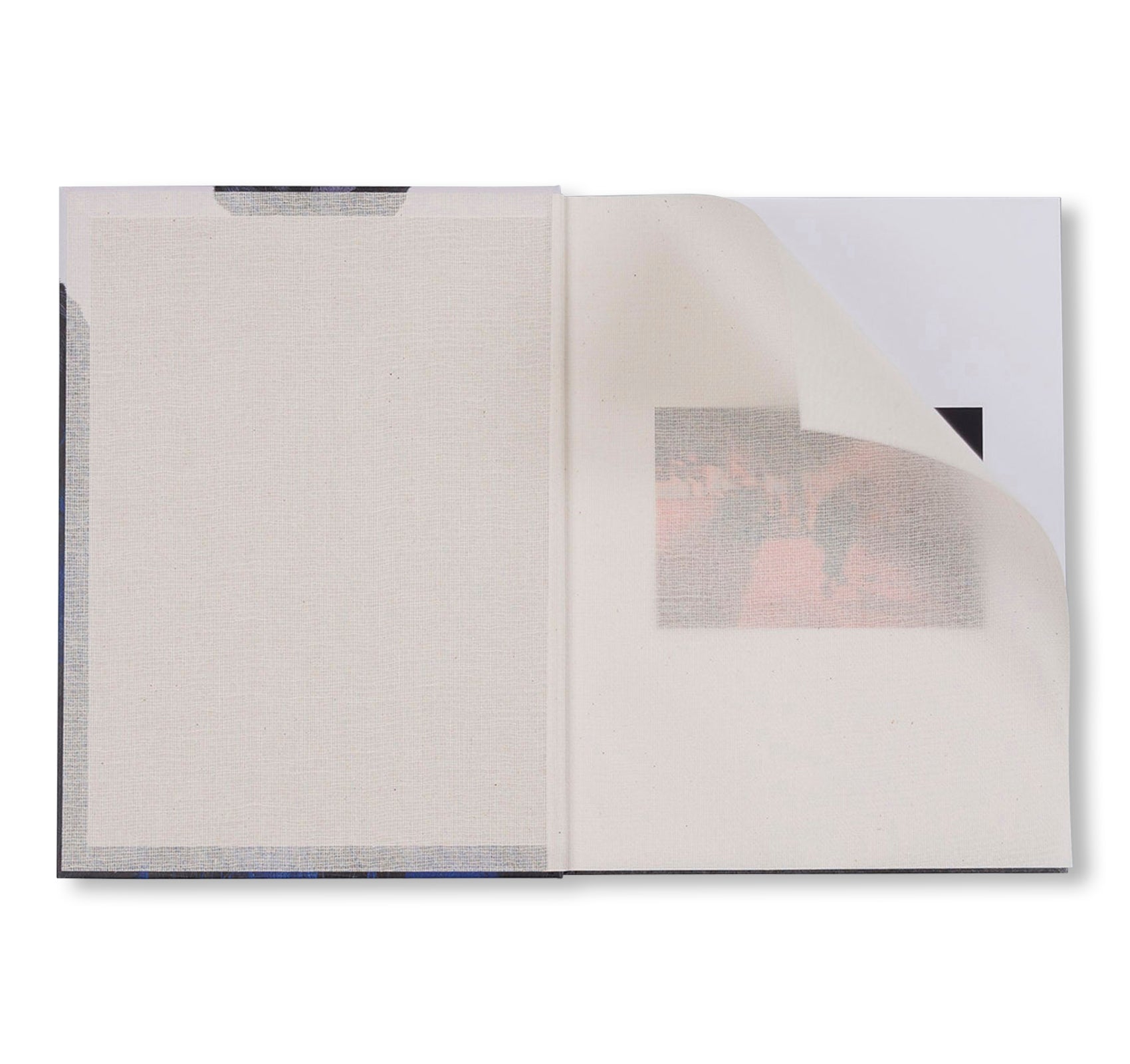 DAVID HAMMONS by David Hammons (WHITE CUBE)