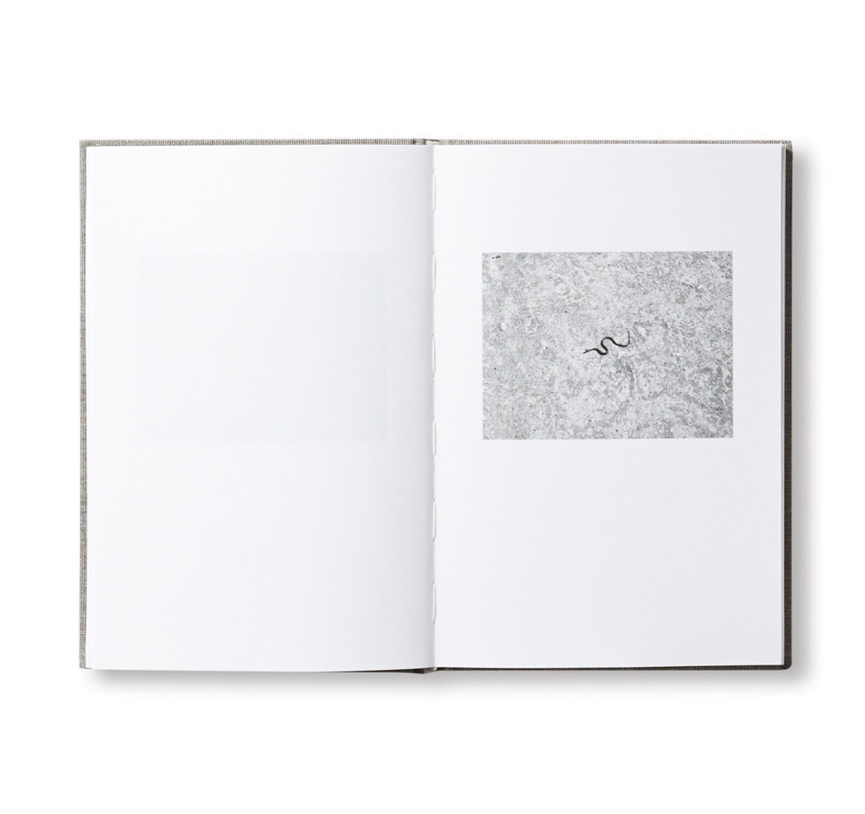 ANOTHER LANGUAGE by Mårten Lange