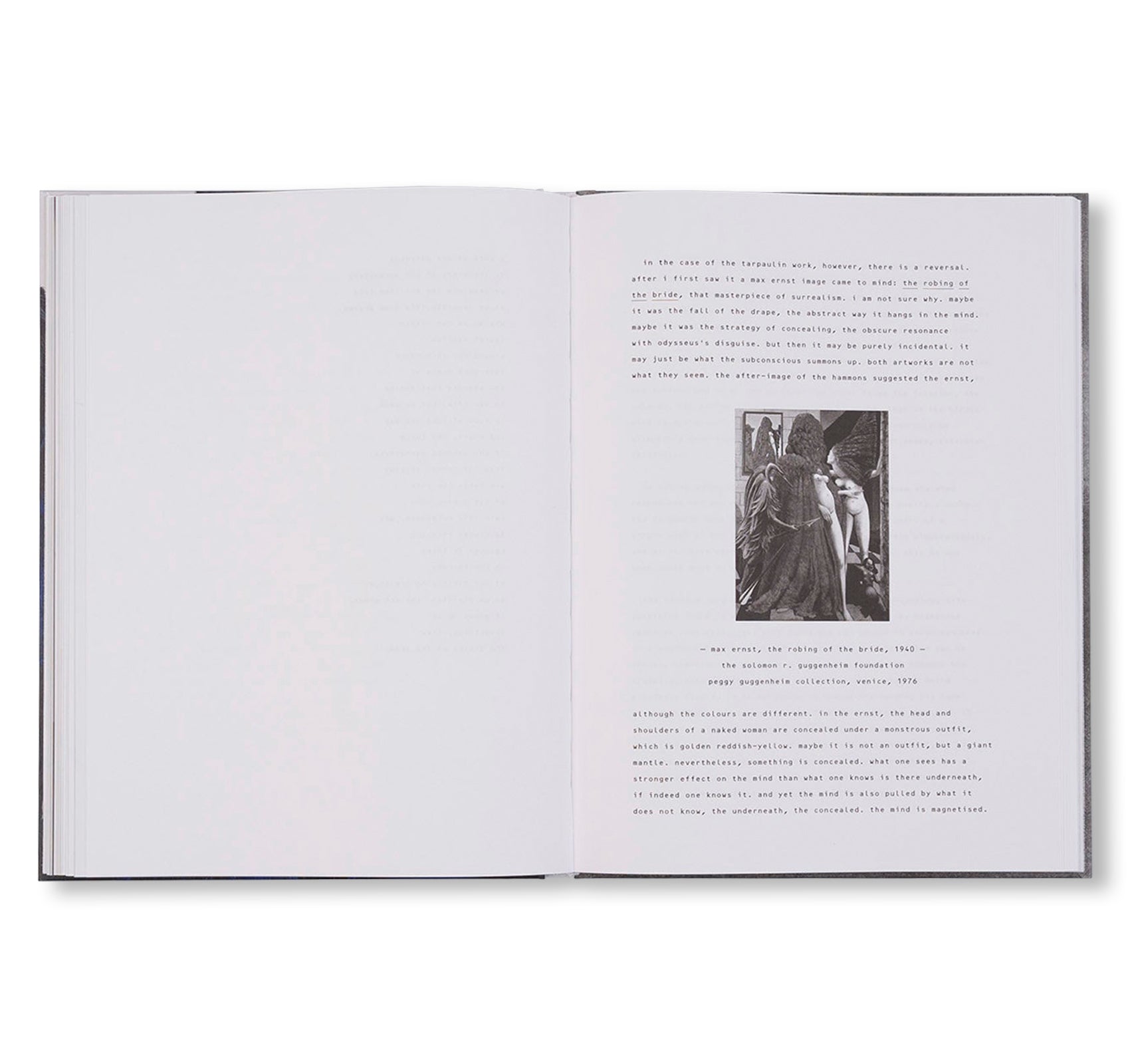 DAVID HAMMONS by David Hammons (WHITE CUBE)