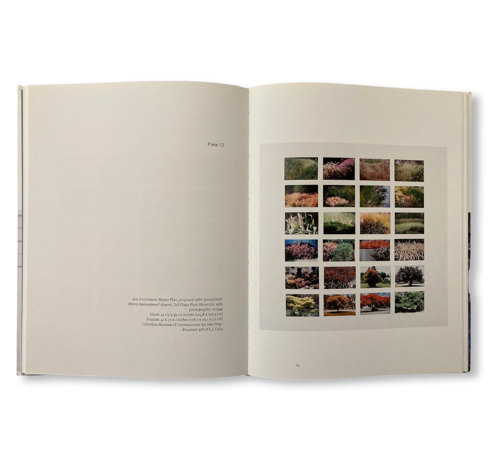 SITE DETERMINED by Robert Irwin