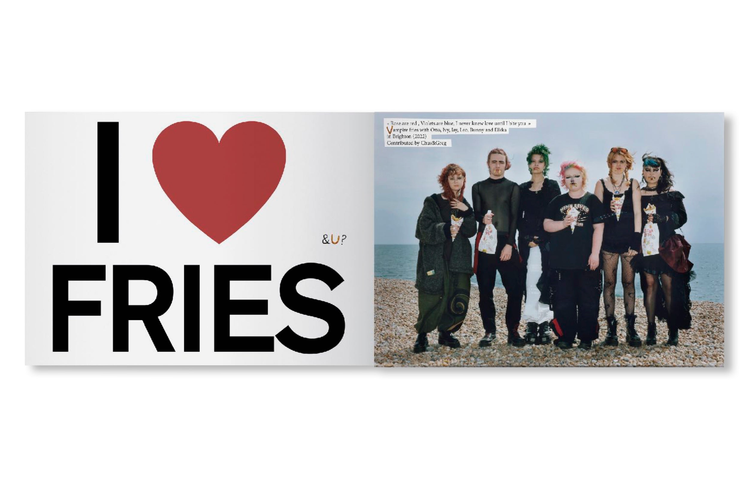 FRIES BOOK by PZ Opassuksatit