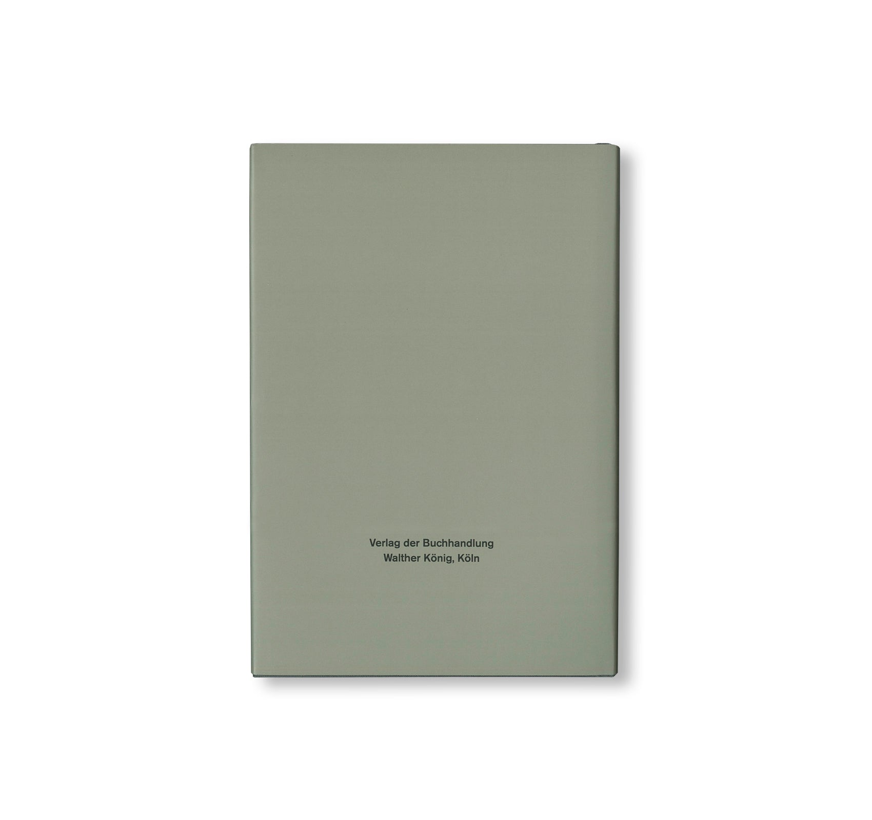 BIRKENAU by Gerhard Richter