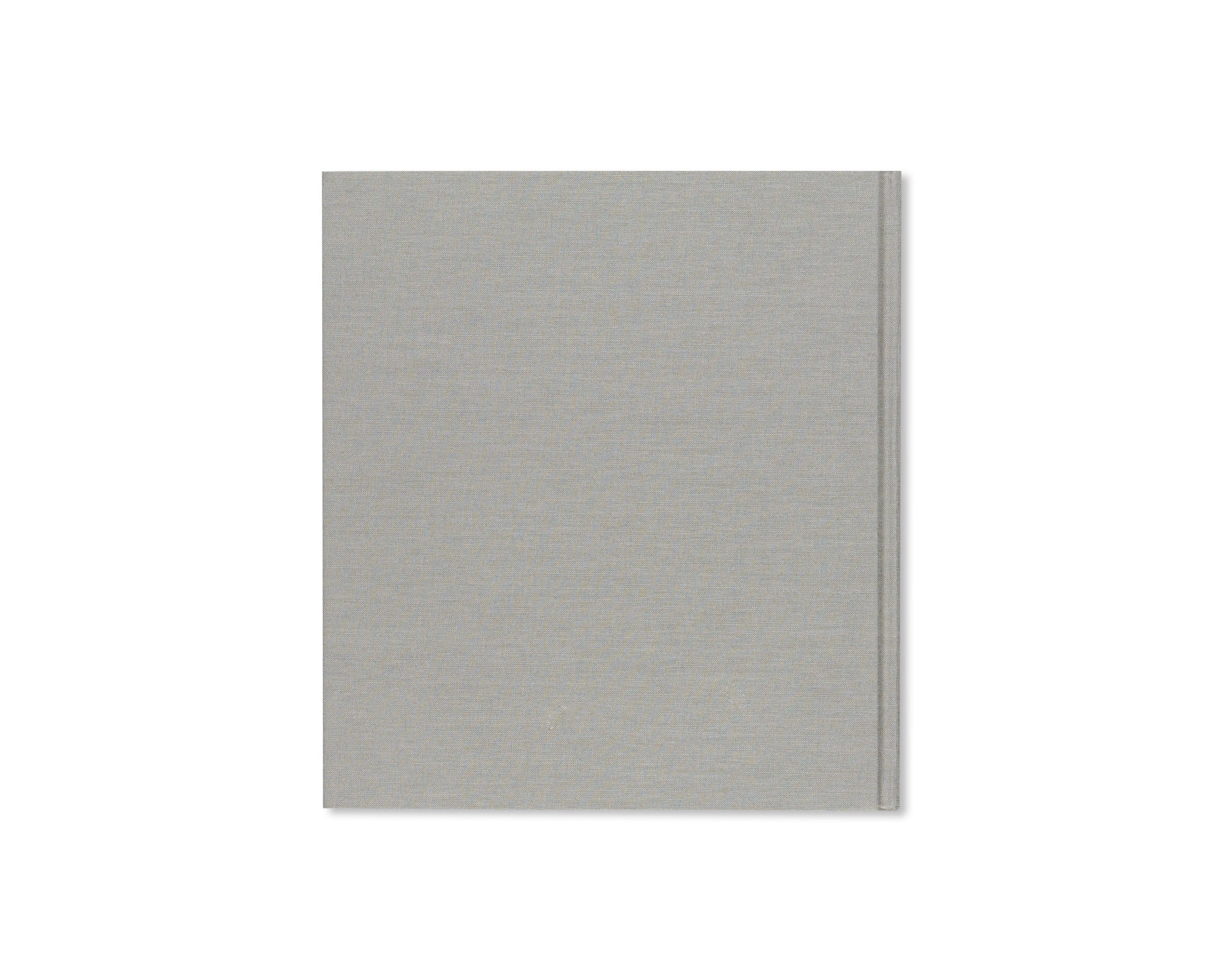 UNTITLED (DAWN TO DUSK) by Robert Irwin
