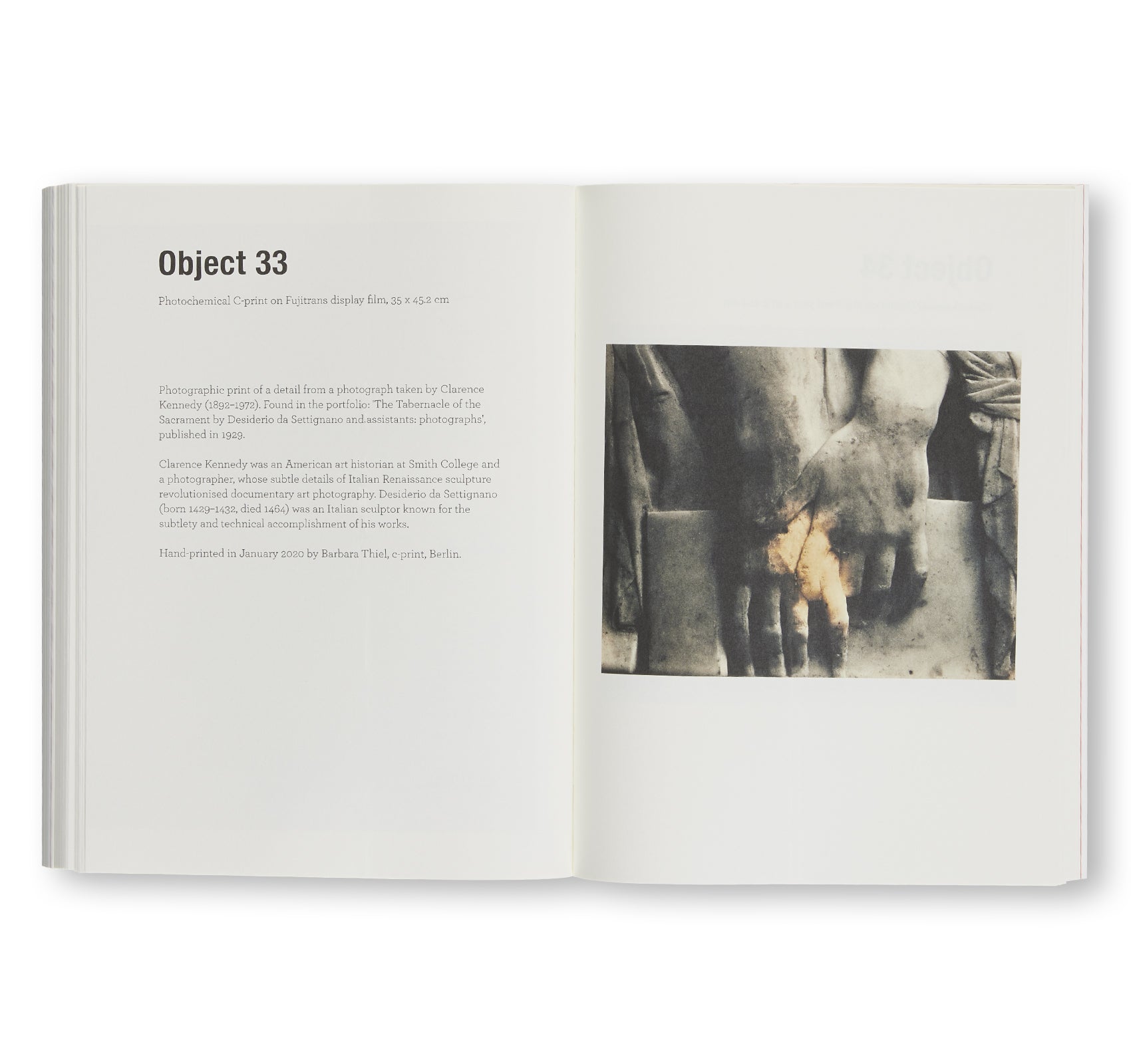 MONET HATES ME by Tacita Dean