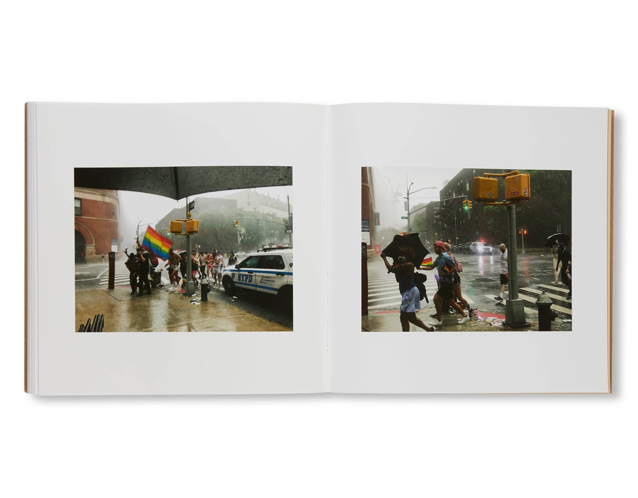 SPRING IN NEW YORK by Liu Xiaodong
