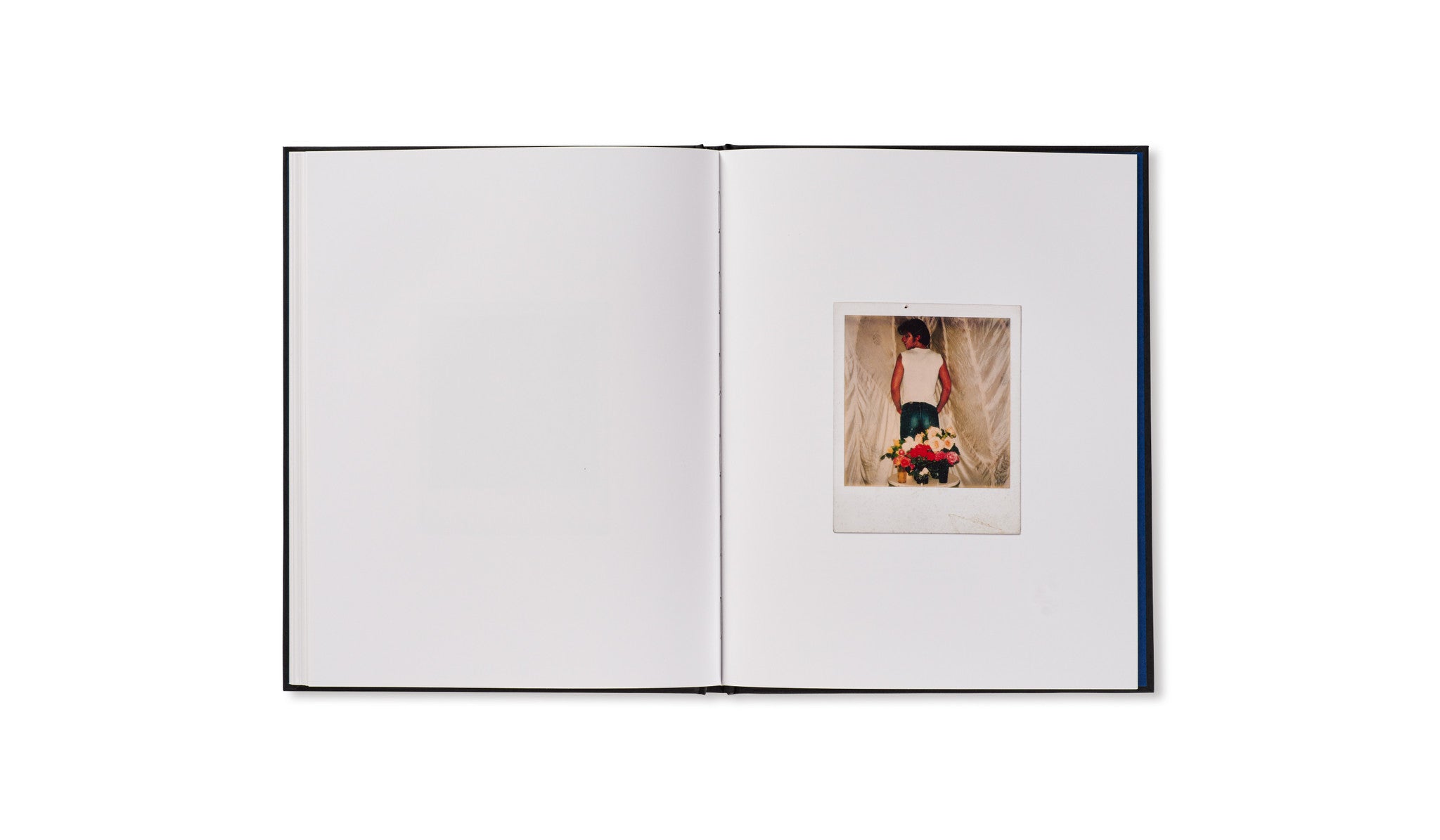 POLAROIDS by David Armstrong